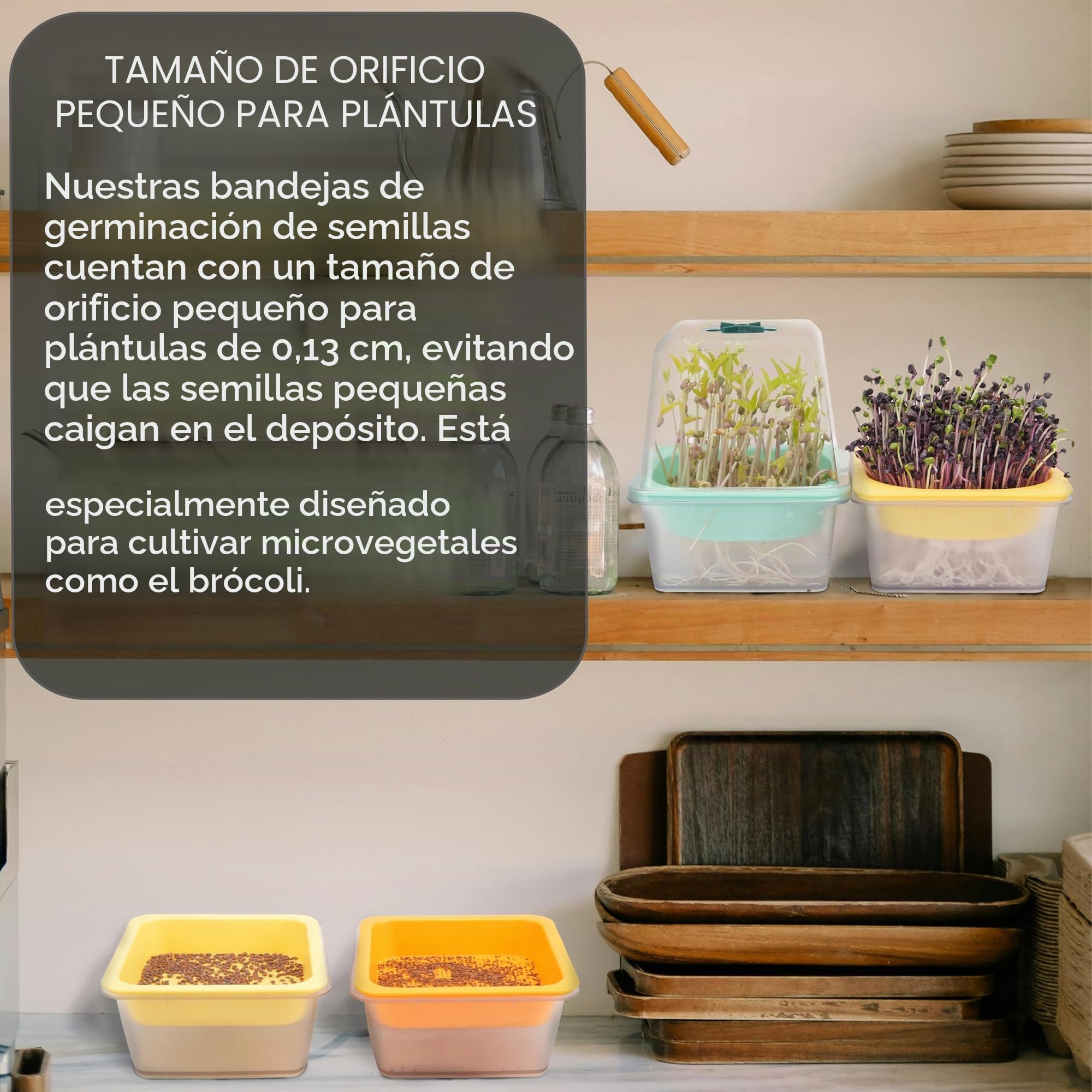 Bandejas para Microvegetales con Tapa y Domo de Humedad, LUVCSOY, Malla Pequeña 1.2 mm, Sin BPA Micro Semillas como Brócoli, Alfalfa, Rábano, Trébol. Pack de 4.