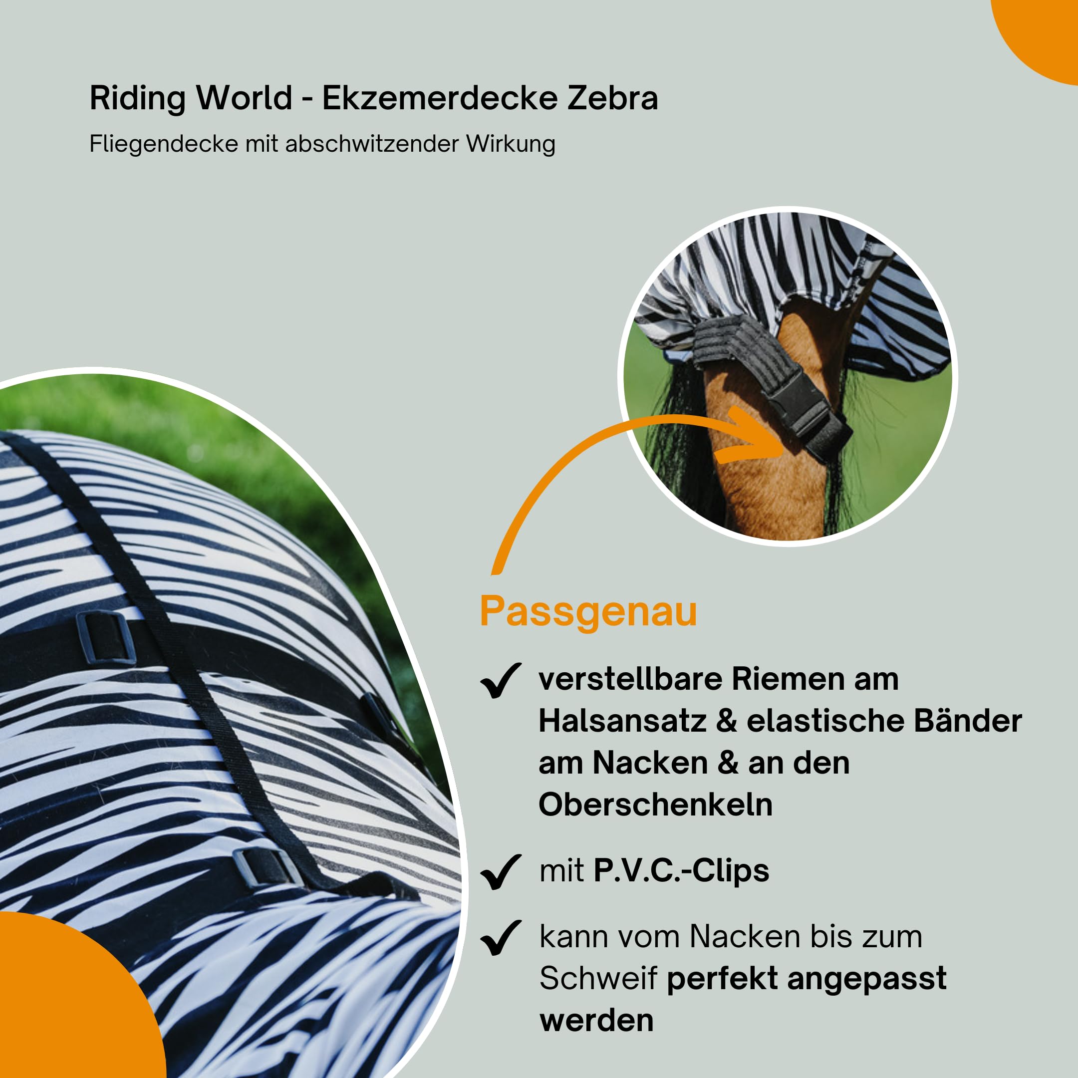 Coperta Antimosche Per Cavalli Riding World - Coperta Con Collo E Pettorale Regolabile - Foto 5
