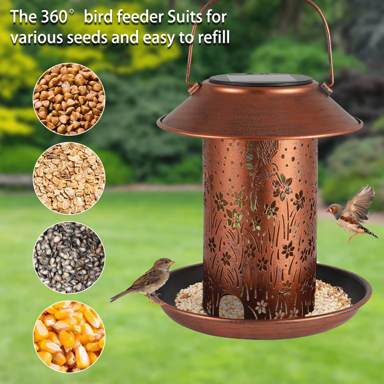 DesGully Solar Kolibri-Futterspender – Mundgeblasenes Glas, 6 Farb-LEDs, 750 Ml