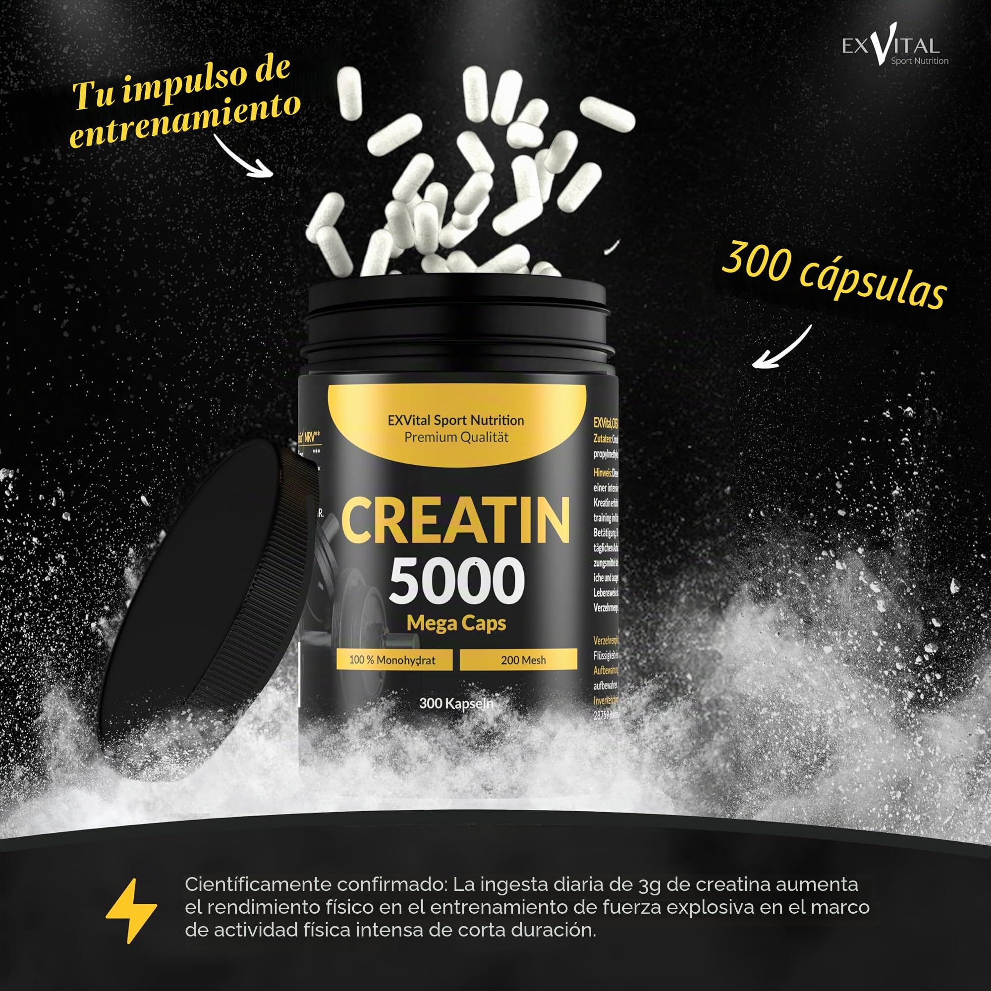 Creatina 5000 Mega Caps, 5000 mg creatina monohidratada/día, 300 cápsulas veganas, 100% pura, control laboratorio (Paquete de 2)