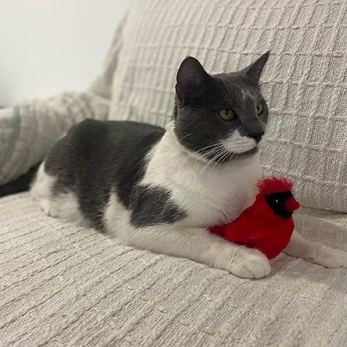 Miniatura 9 de SPOT Song Birds - Juguete para gatos con hierba gatera activada por el tacto, imita canciones reales de pájaros, juguete que funciona con pilas