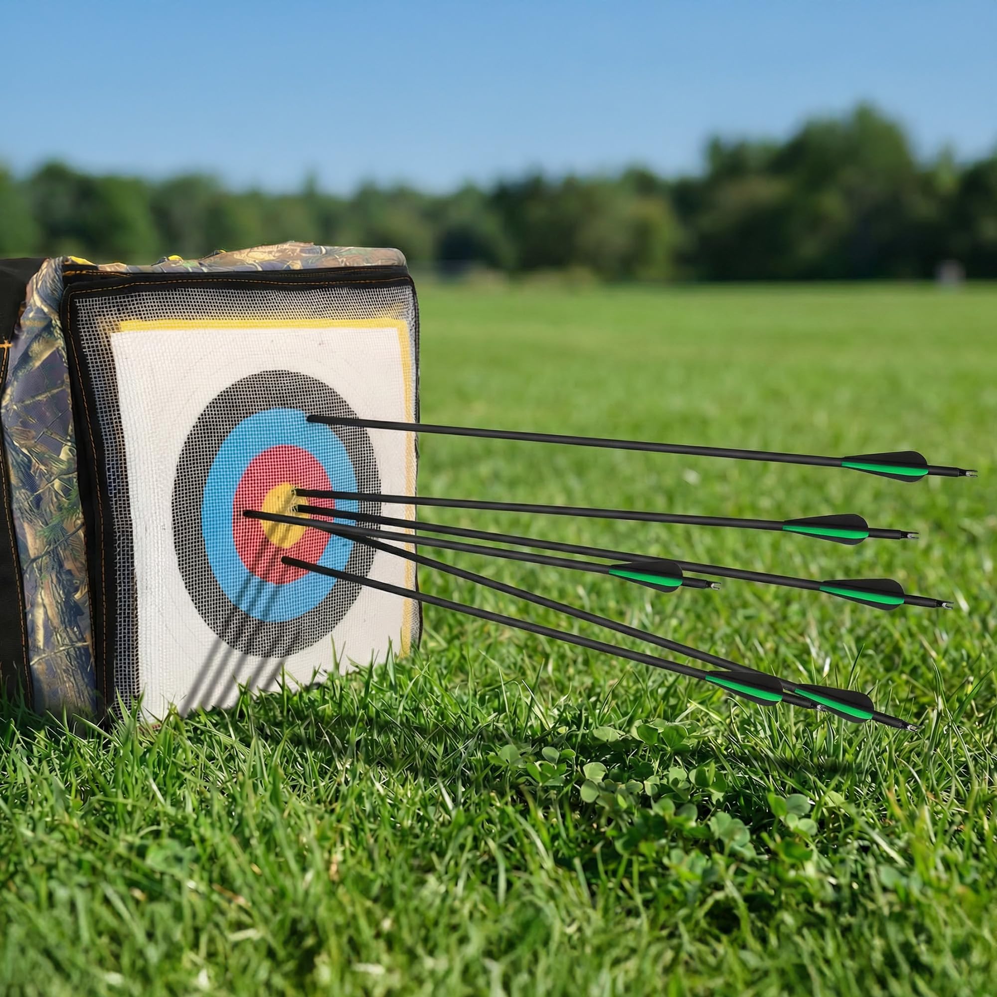 14 Stück Carbonpfeile 30 Zoll mit abnehmbaren Pfeilen für Jugend und Erwachsene, Bogenschießübungen, Bögen und Pfeile für Outdoor Training