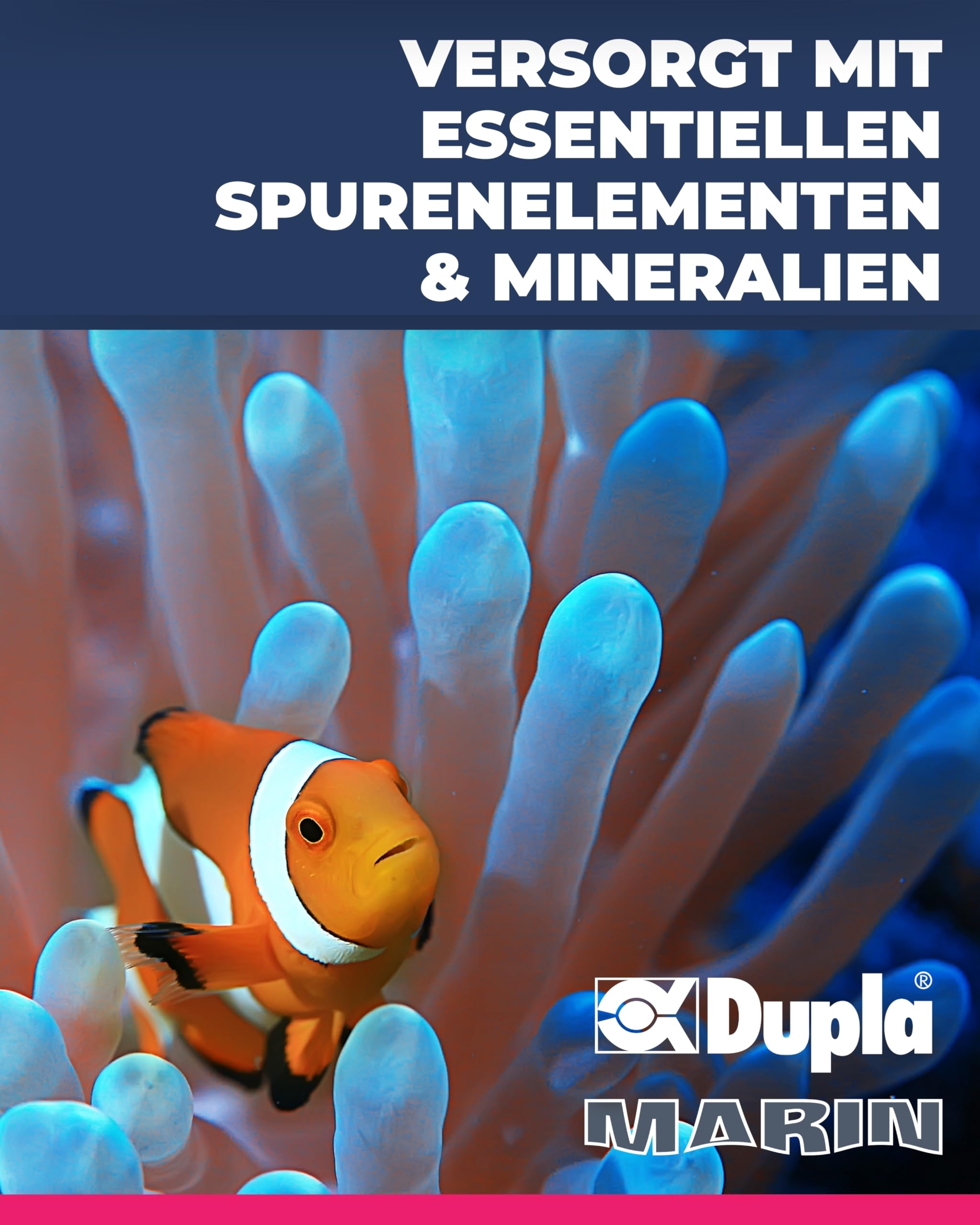 Dupla Marin Spurenelemente-Mix I 1000ml I flüssige Spurenelementmischung für Meerwasseraquarien I Liquid zur Nährstoffversorgung von Stein-und Weichkorallen, Muscheln, Kalkröhrenwürmern und Kalkalgen