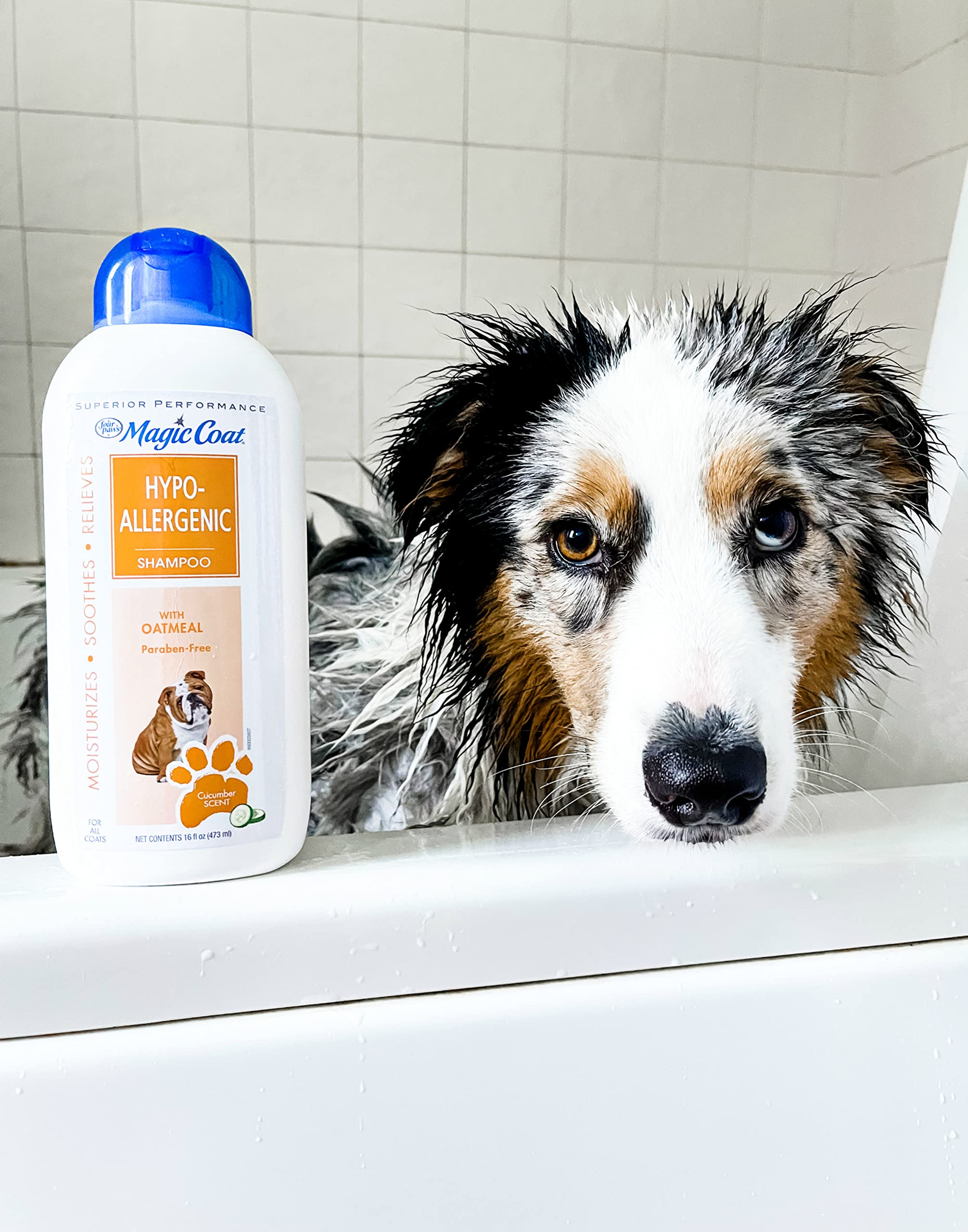 magic coat flea and tick shampoo