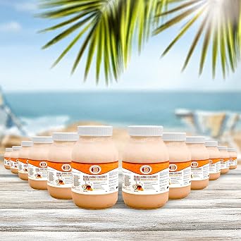 Mango Coconut Kefir Organic Raw Probiotic Drink for Gut Health & Digestion | Living Cultures, Tropical Flavor | by This Chick Is Raw Full Case