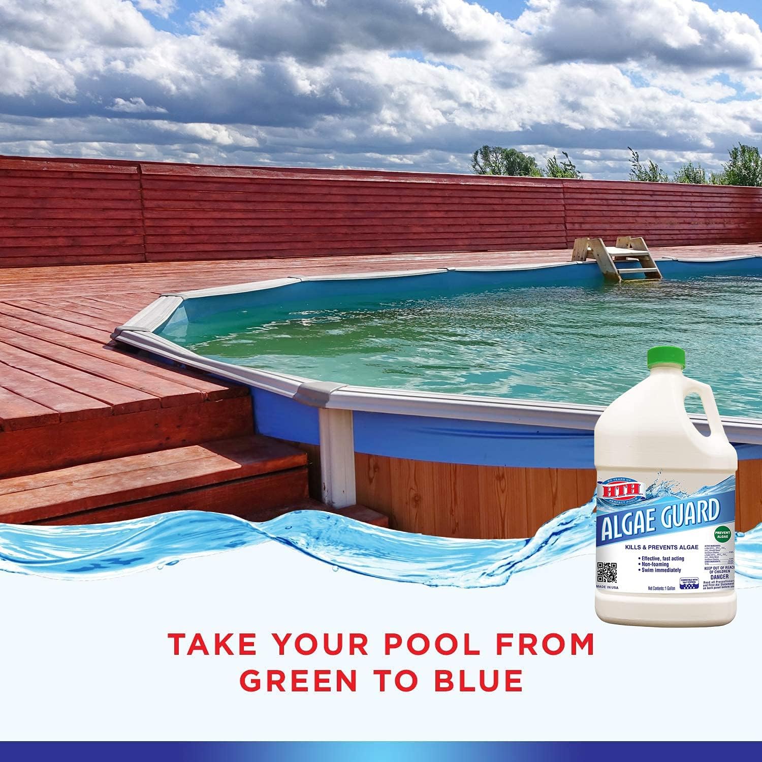 HTH 67045 Algae Guard 10 for Swimming Pools, 1 gal