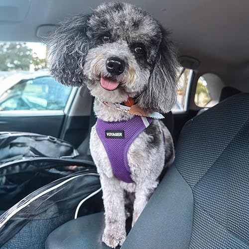 Vista 106 de Best Pet Supplies Voyager Step-in Air - Arnés de malla para todo tipo de clima, reflectante, antitirones, para perro y gato pequeño y mediano, Arnés