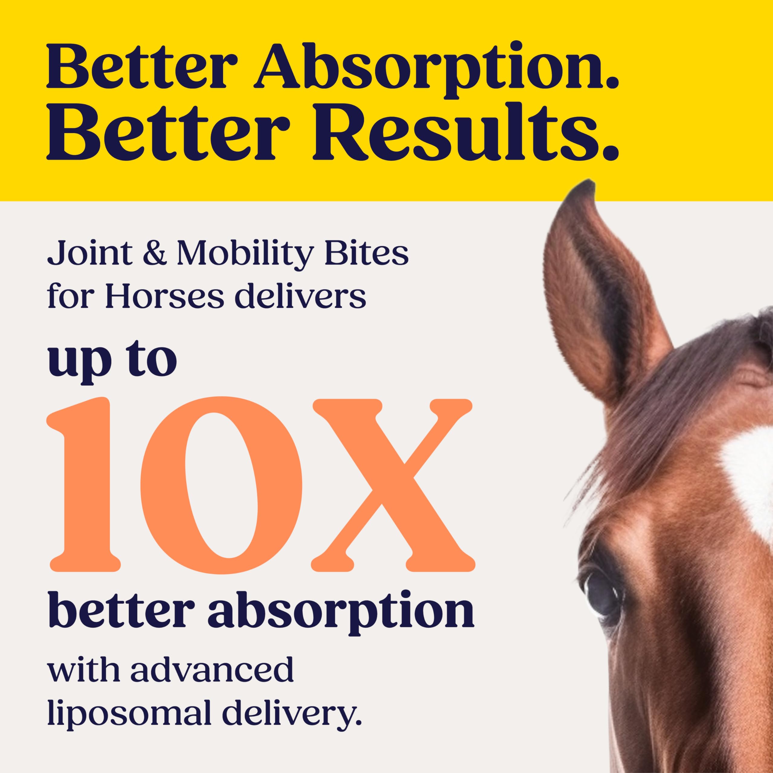 Summit Equine Joint & Mobility Bites Daily Supplement for Horses, Liposomal Delivery, Max Absorption, Vet Recommended, All-Natural Ingredients, 100% Drug-Free, Healthy Joints - 30 Bites — Amazon image 2