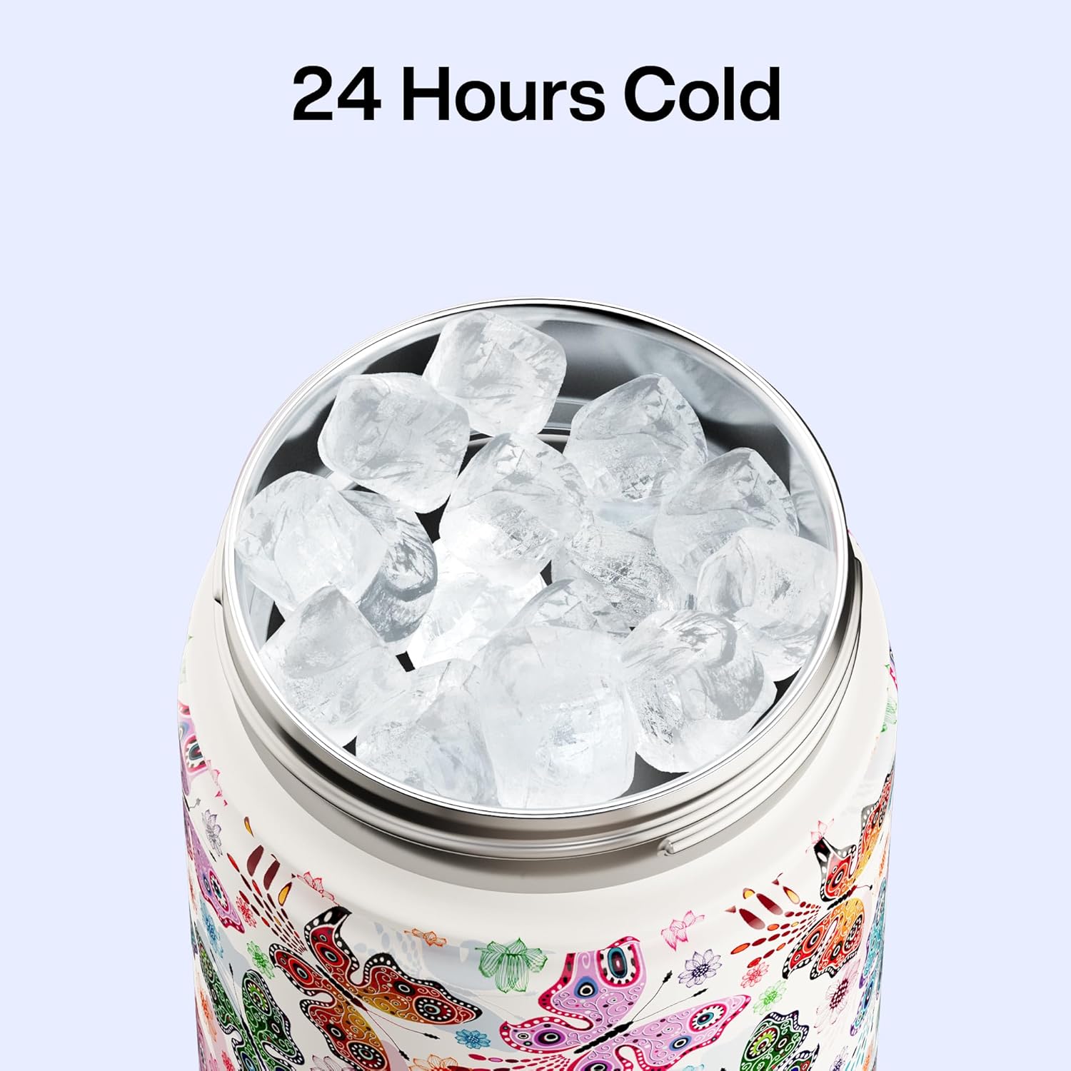 ENCOOL Insulated Water Bottle with Straw Stainless Steel Water Bottle, Leak-Proof, BPA-Free, Double Wall Vacuum Keeps Cold for 24 Hours for Sports, Travel, School (26 oz, Aesthetic Butterfly)