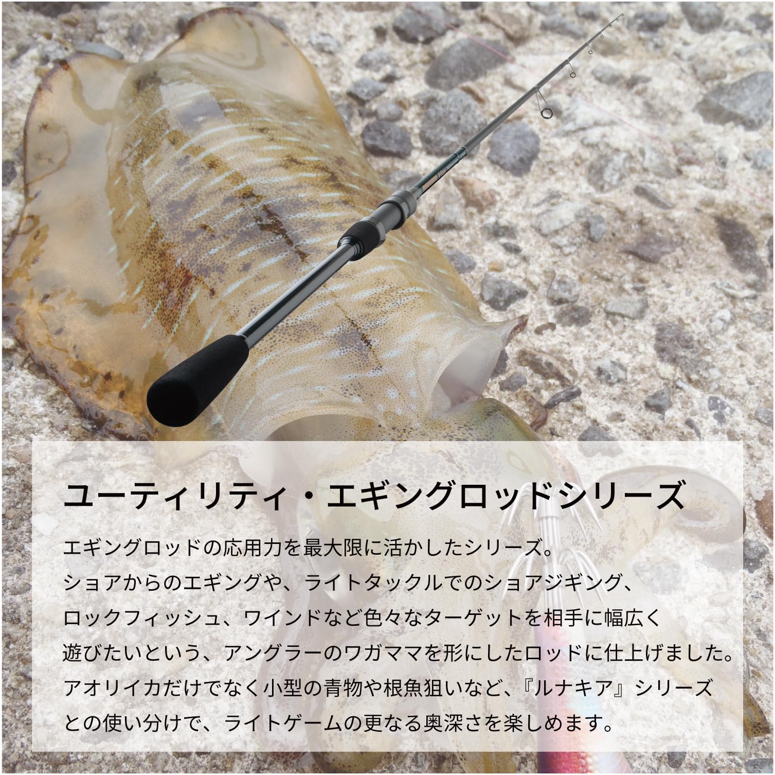 Amazon | 天龍(Tenryu) ロッド ブリゲイドフリップ BGF832S-MMH | 天龍
