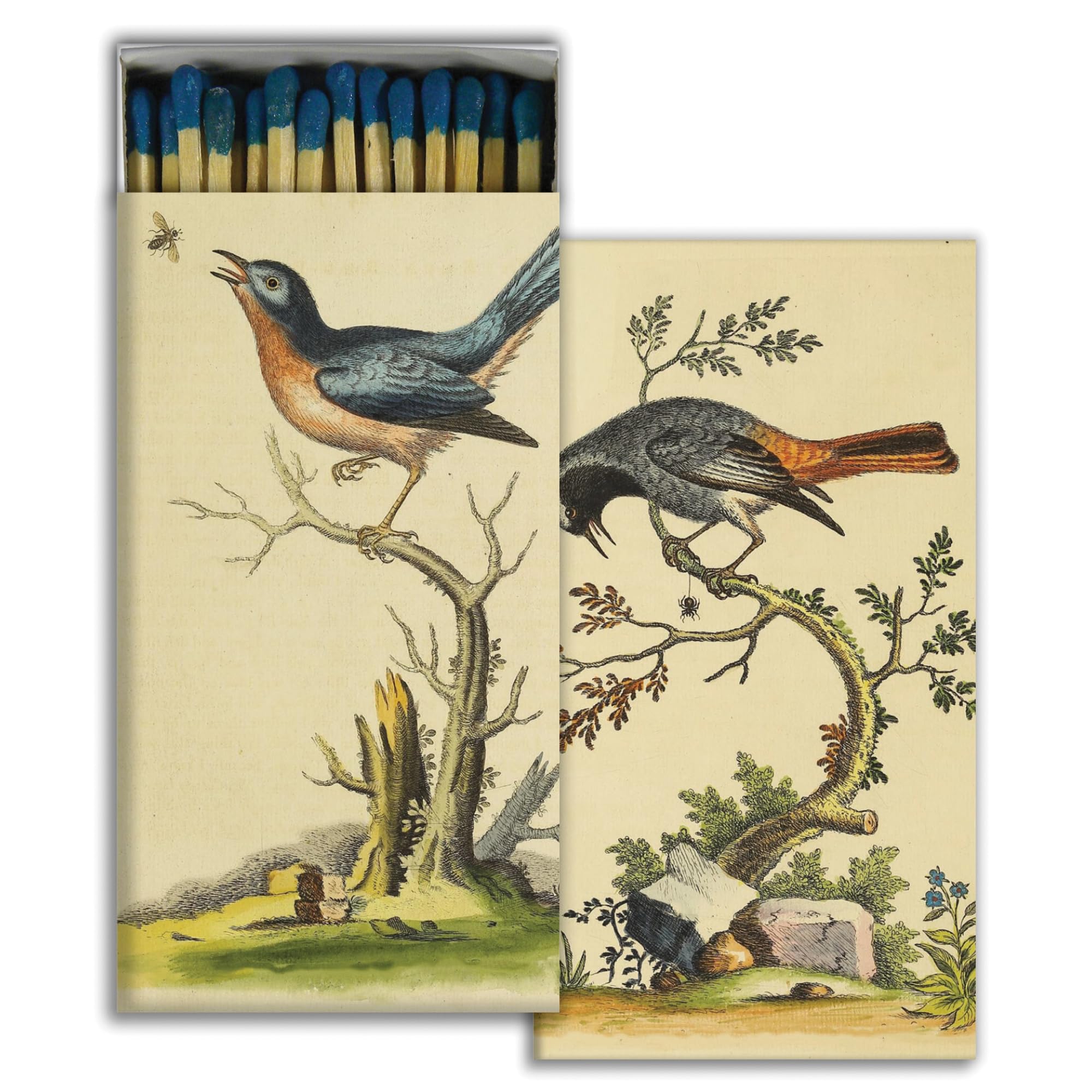 Warwick Birds Decorative Matchbox with Wooden Matches - Great for Lighting Candles, fireplaces, Grills and More | One Box