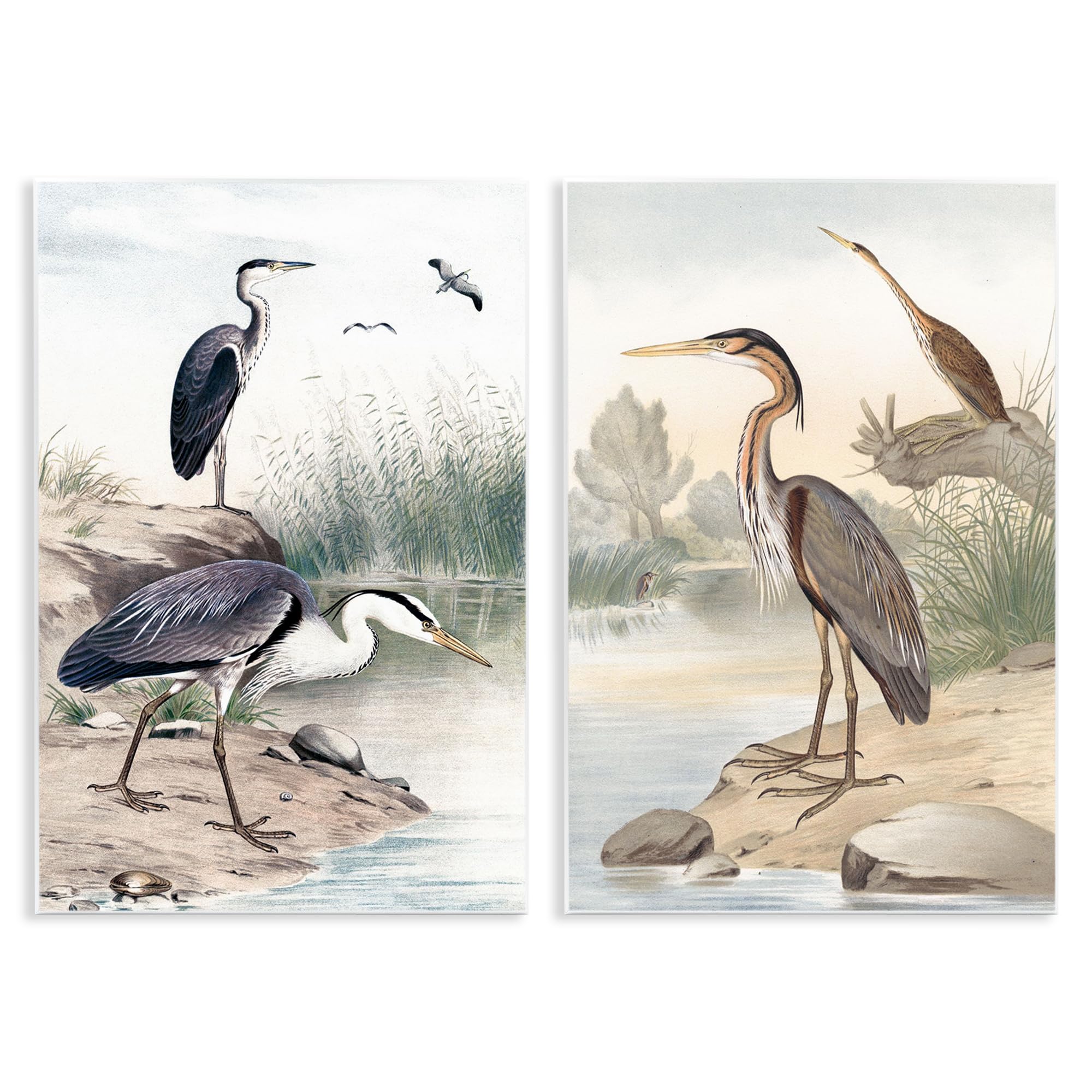 Elegant Heron River Edge, 10 x 15 Inch Mounted Print on Wall Plaque Set