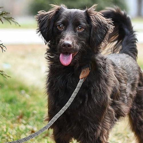 Miniatura 9 de Mile High Life Correa de cuero para perro  Correa de cuerda fuerte  Mango de cuero  Cierre fuerte de aleación de zinc  Perros pequeños, medianos y