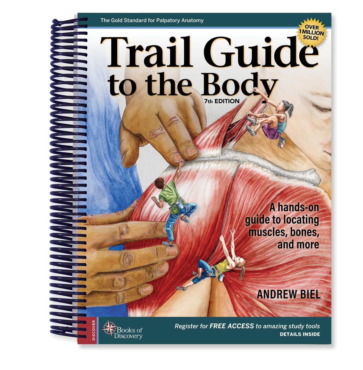 Trail Guide to the Body by Andrew Biel (Spiral bound)