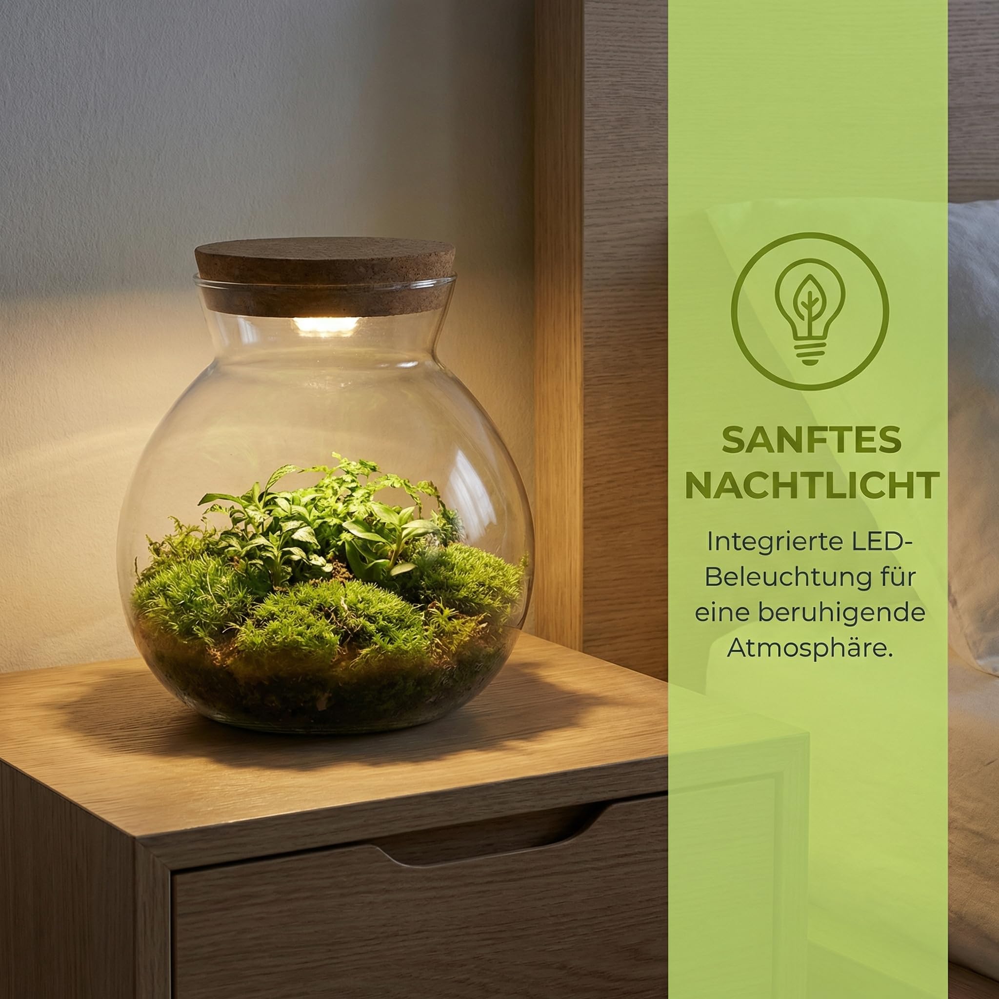 UKCOCO Bouteille en verre - Bouteille de paysage - Récipient transparent - Petit récipient de conservation - à champignons - Bocaux LED avec bouchon en liège - Vase de paysage pour