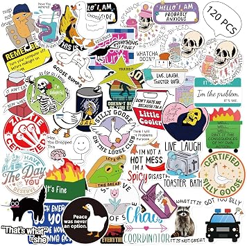 OCQOTAT 120pcs Funny Stickers for Adults,Meme Sticker Pack Laptop Decals, Waterproof Vinyl Sarcastic Cool Stickers for Water Bottle,Phone,Hard Hats,Bumpers,Car,Wall 2 of Each