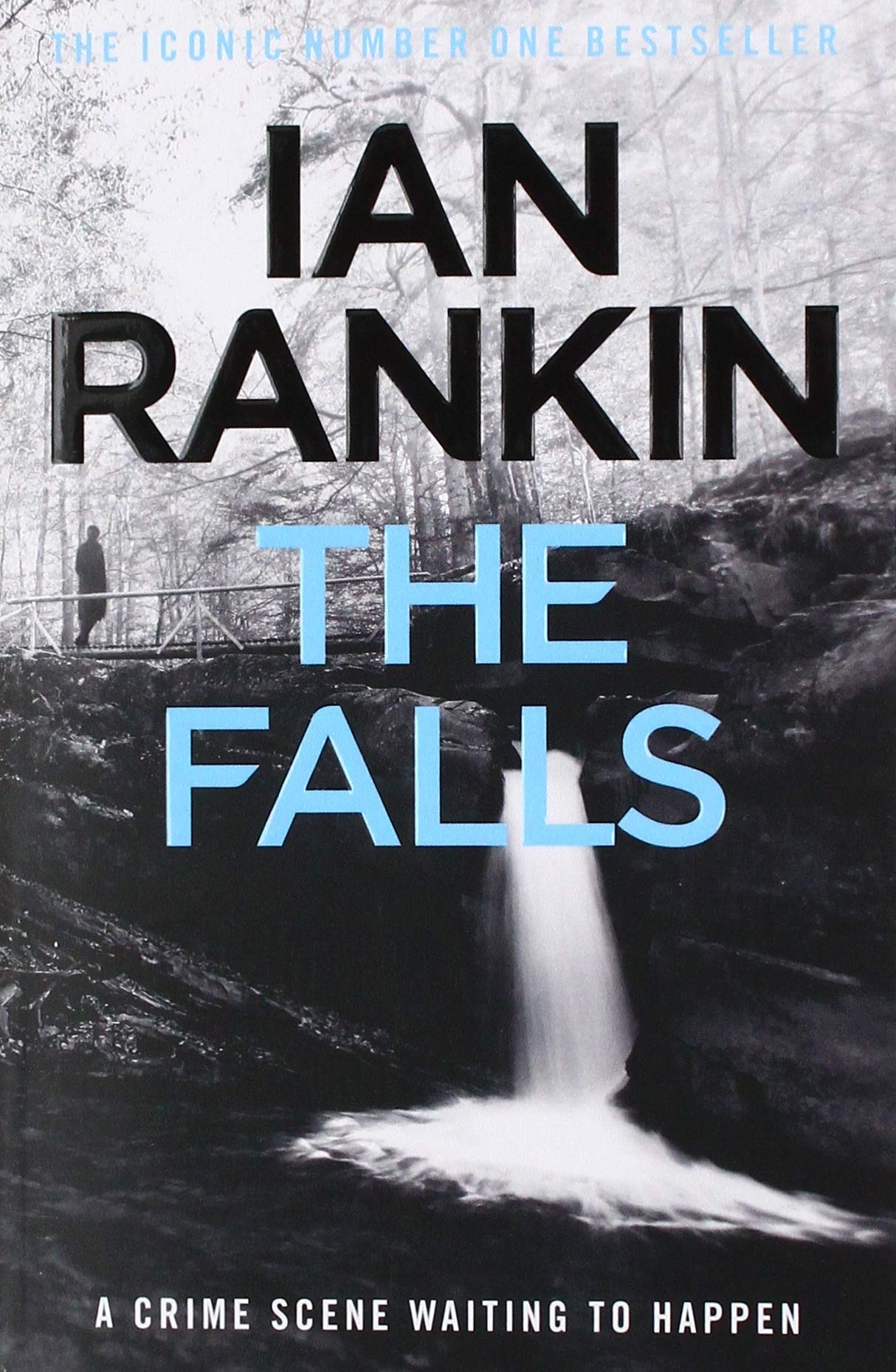 Rankin: The Falls New Book, Ian Rankin, Paperback