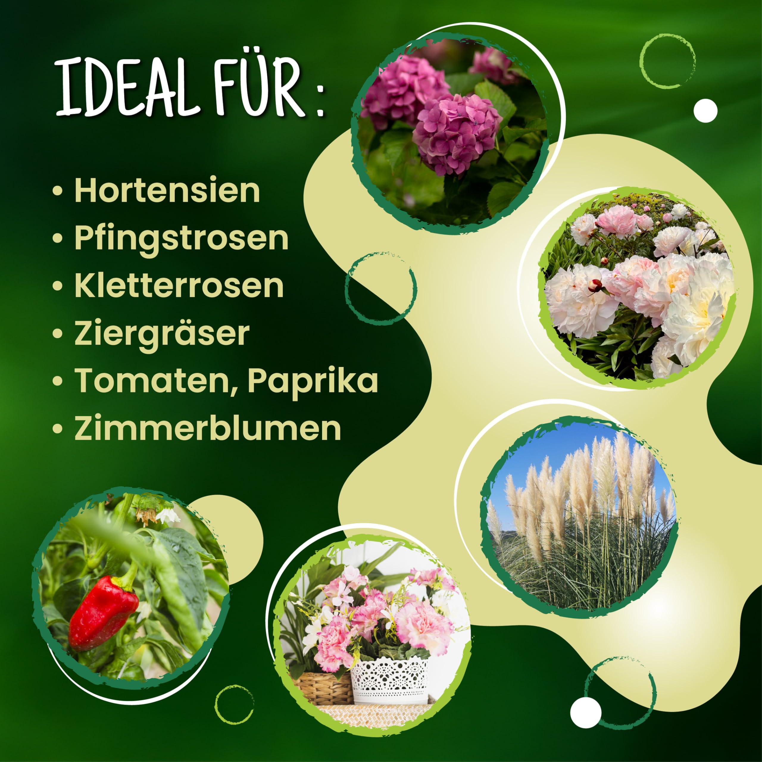 ARPON Staudenhalter rund 10 Stück – Einstellbare Blumenstütze & Pflanzenstütze Ø 21,5 cm – Ideal als Hortensien Stütze, Strauchstütze, Staudenstütze & robuster Blumenhalter im Garten