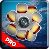 Beauty Photo Lab Editor