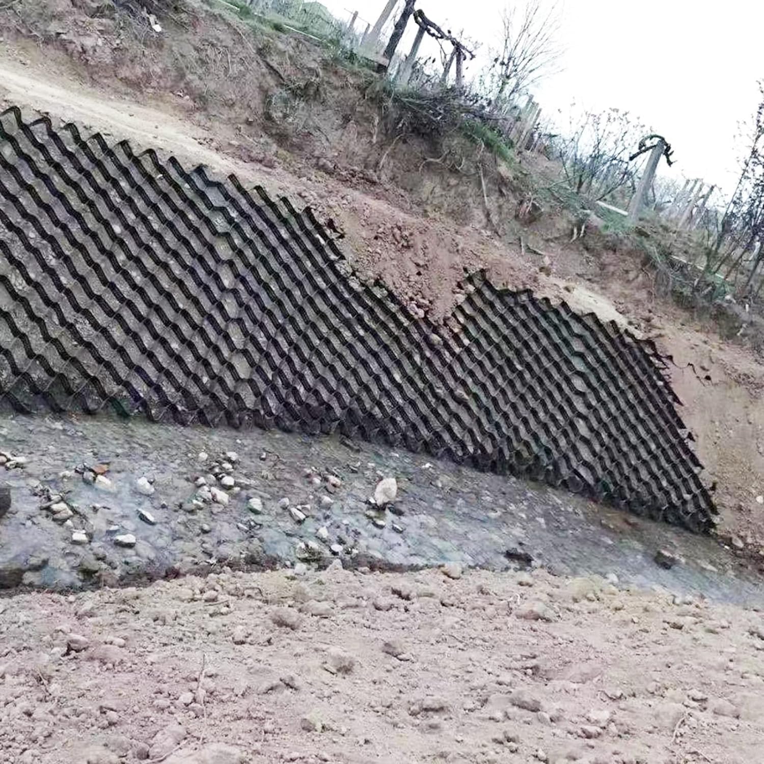 Géogrille lourde ELzEy de 10m x 6m pour la stabilisation structurelle de plate-forme de sol
