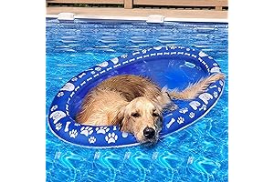 Paw-some Pup Pool: The Floaty Paradise for Your Furry Friend