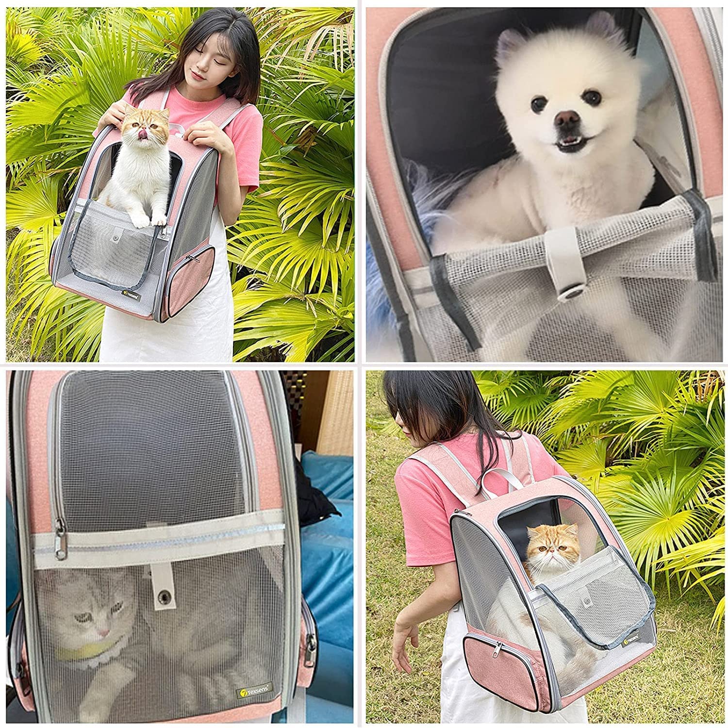 Zaino Trasportino per Animali Domestici, per Cani, Gatti, Cuccioli, Rete Completamente Ventilata, Approvato Dalle Compagnie Aeree, Progettato per Viaggi, Escursioni, Passeggiate All'Aperto (Rosa)