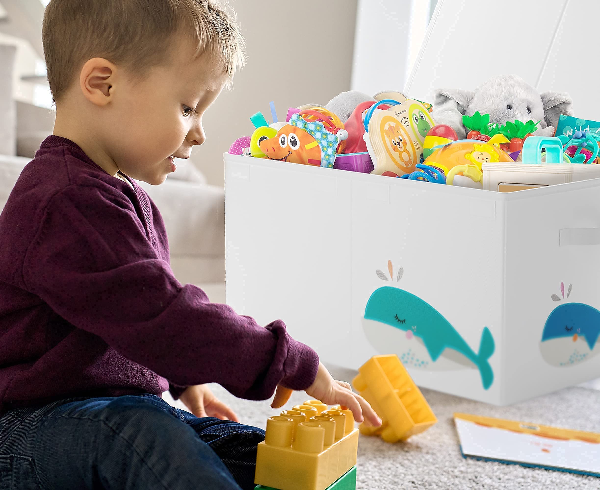 Beautiful Large Toy Box with Lid Cute Gender Neutral Toy Storage