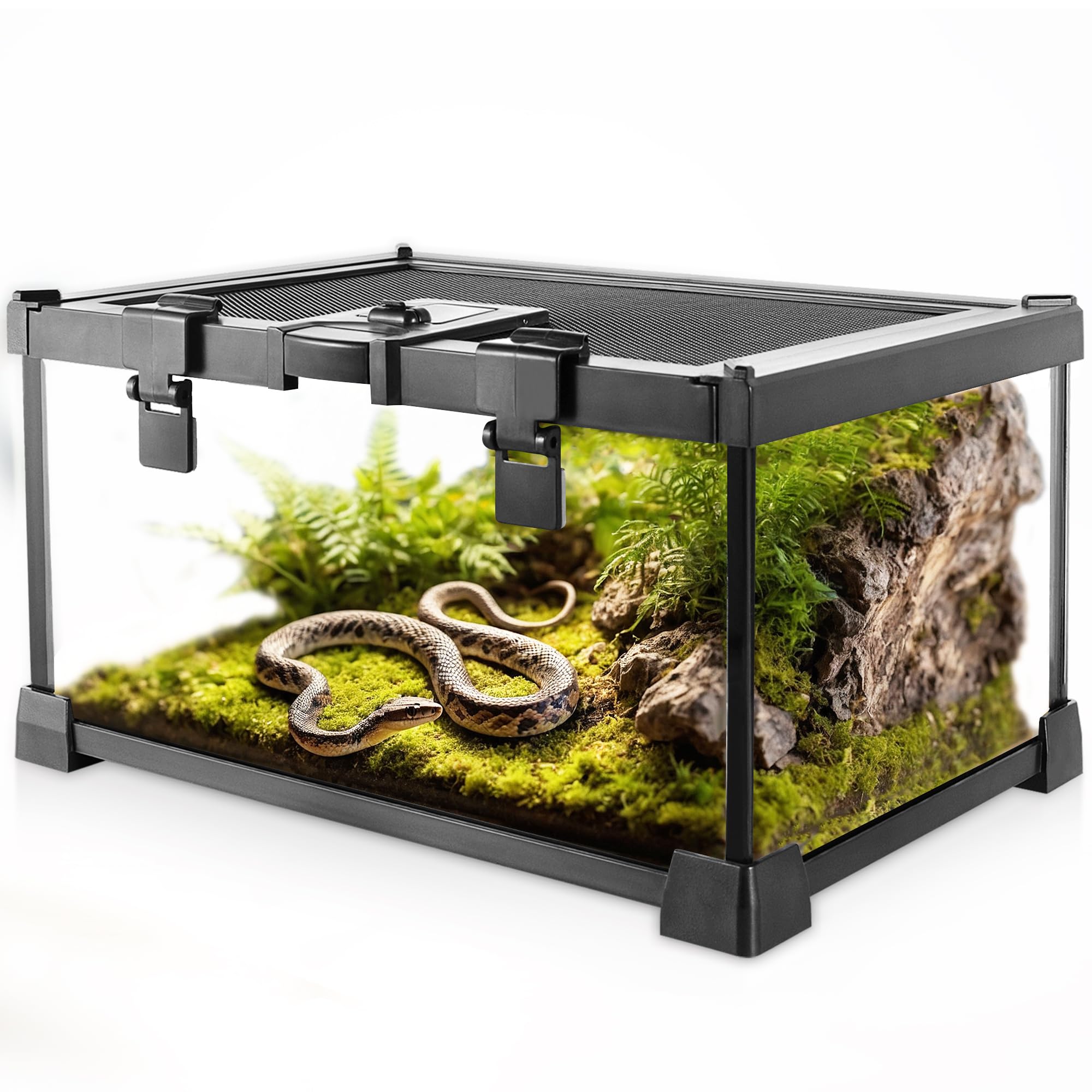 Mini-Reptilien-Glas-Terrarium, 30 x 20 x 14.5 cm, Vollsicht-Tank, kleine Amphibien, Glas-Lebensraum, Käfig mit Futterschlitz und Kastenschloss
