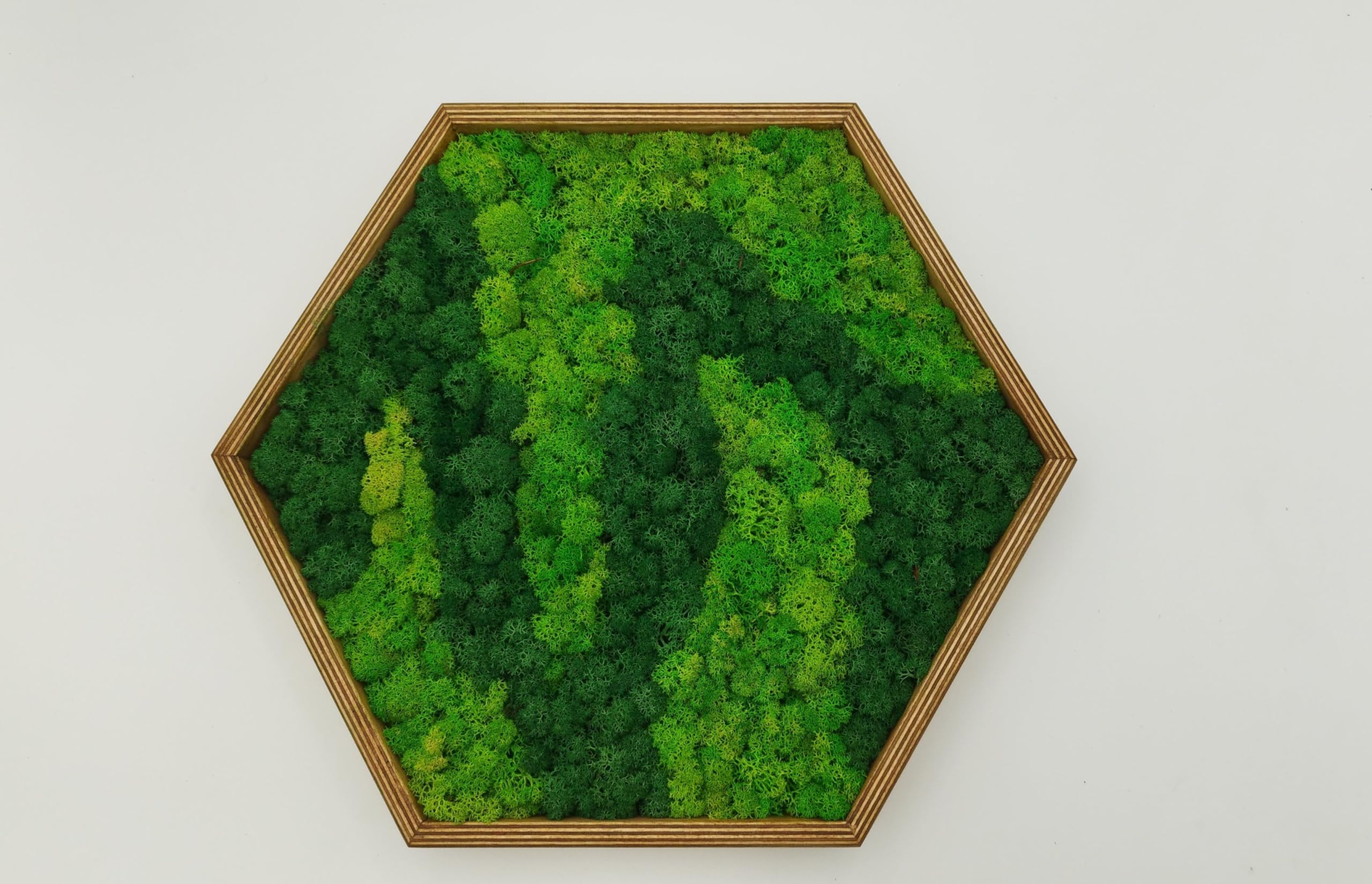 LoveLasy Bicolor Moos Wandbild Hexagon für Zuhause und Büro, Moosbild, stabilisiertes Moos (groß)