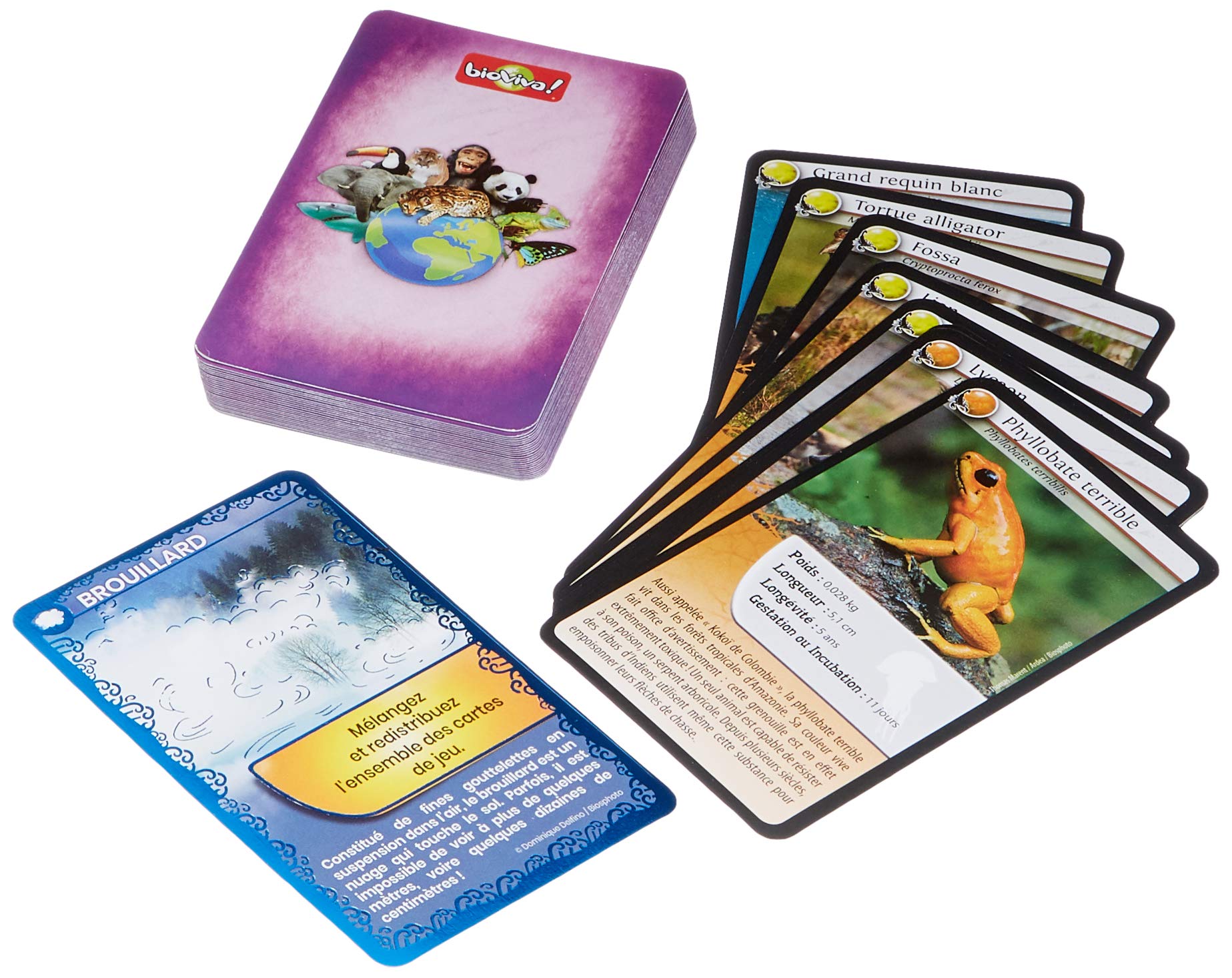 Jeux de Cartes Défis Natures - Animaux Redoutables