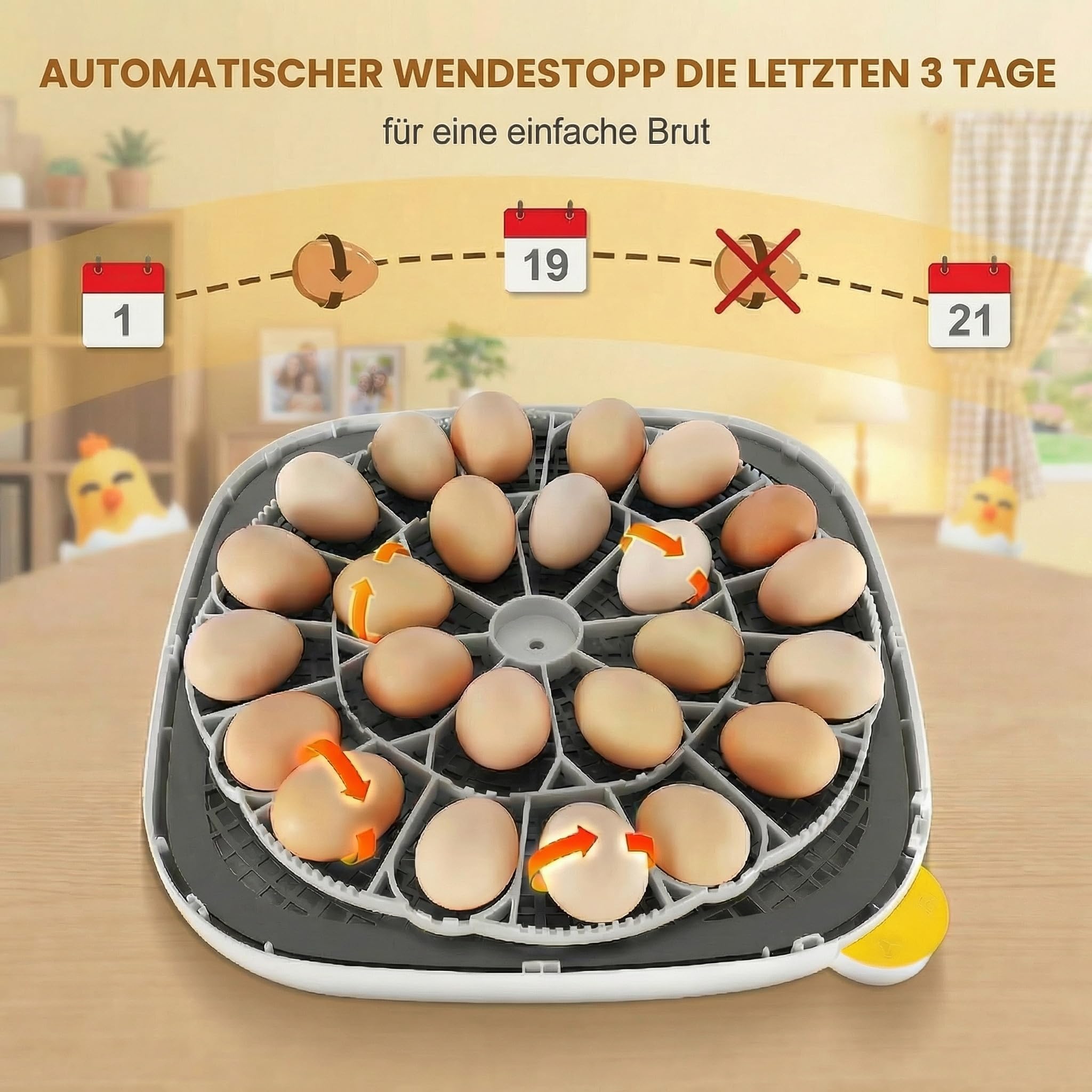 Sailnovo 24-Eier-Inkubator – Vier Modi, Feuchtigkeitsanzeige, automatische Eierwendung und integrierte Schierlampe. Für Hühner-, Enten-, Wachteleier. Ideal für Zuhause, Bauernhof, Unterricht (Grau)
