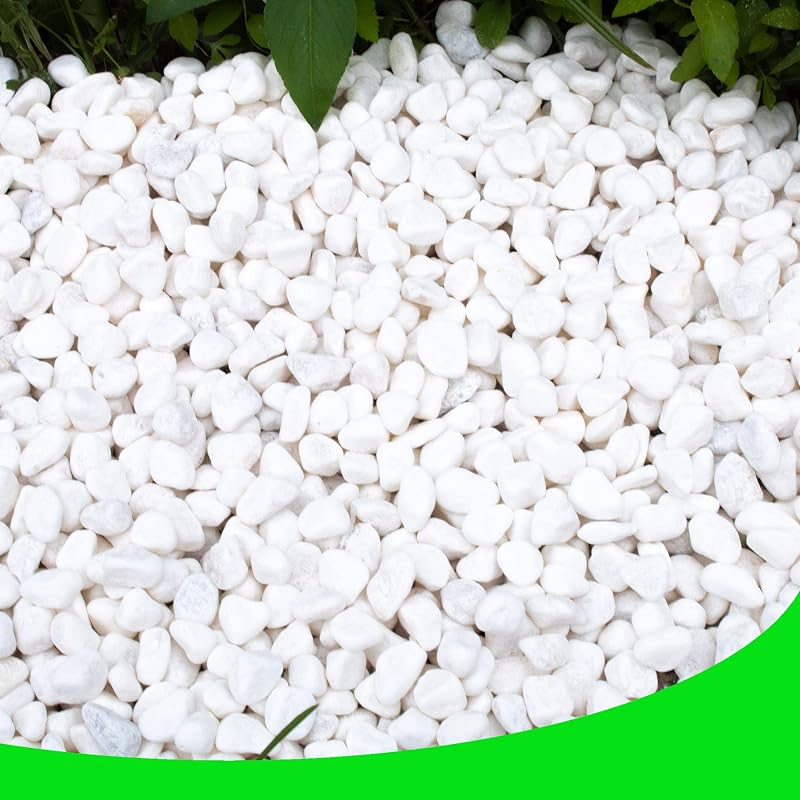 Guijarros blancos para plantas jardín 18 lb rocas blancas grava piedras decorativas paisajismo florero rellenos 1/2"