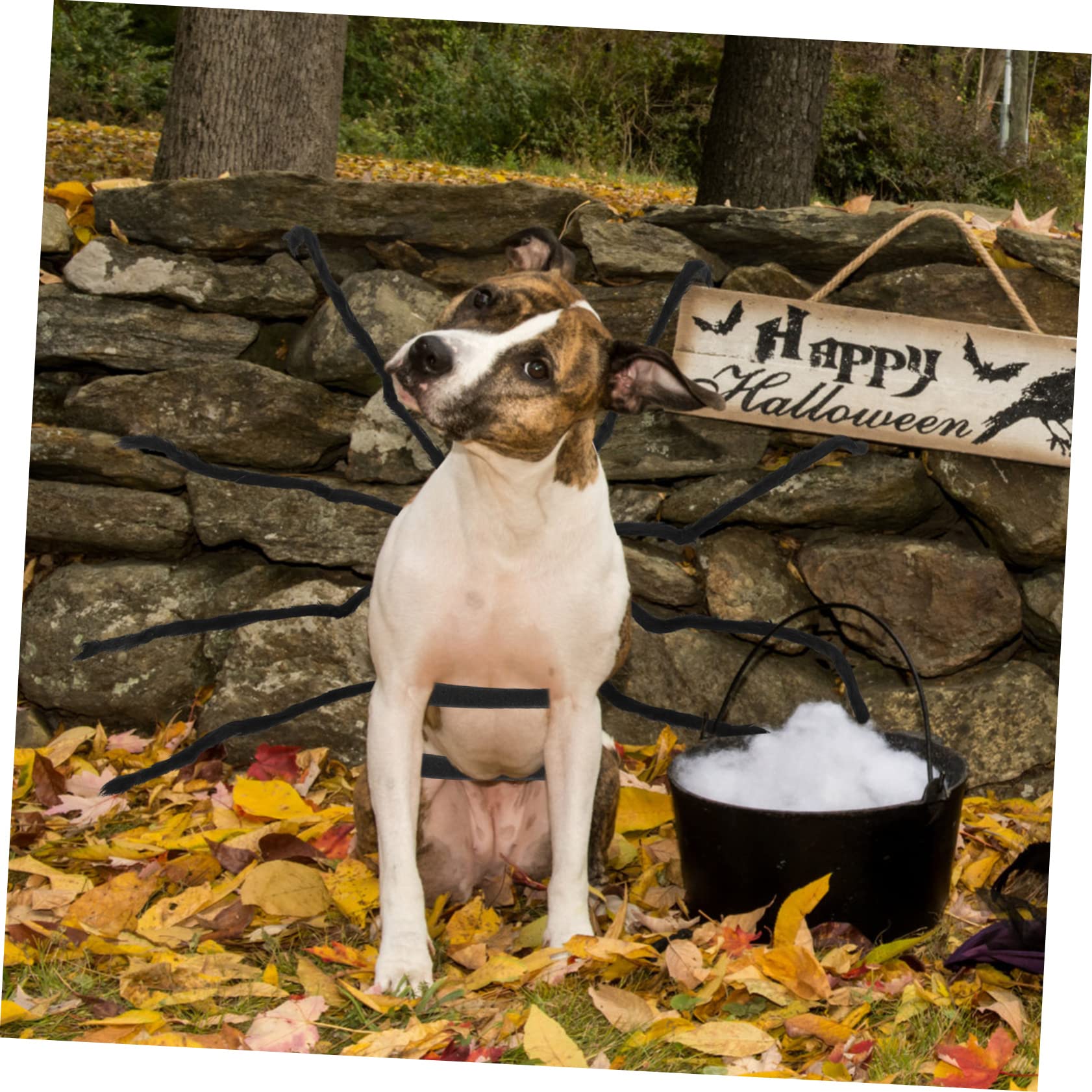 HANABASS 3pezzi Costume Per Animali Domestici Forma Di Ragno Fuzzy Per Halloween Accessorio Divertente e Spaventoso Per Cani e Gatti Adatto Occasioni Festive e Foto Memorabili