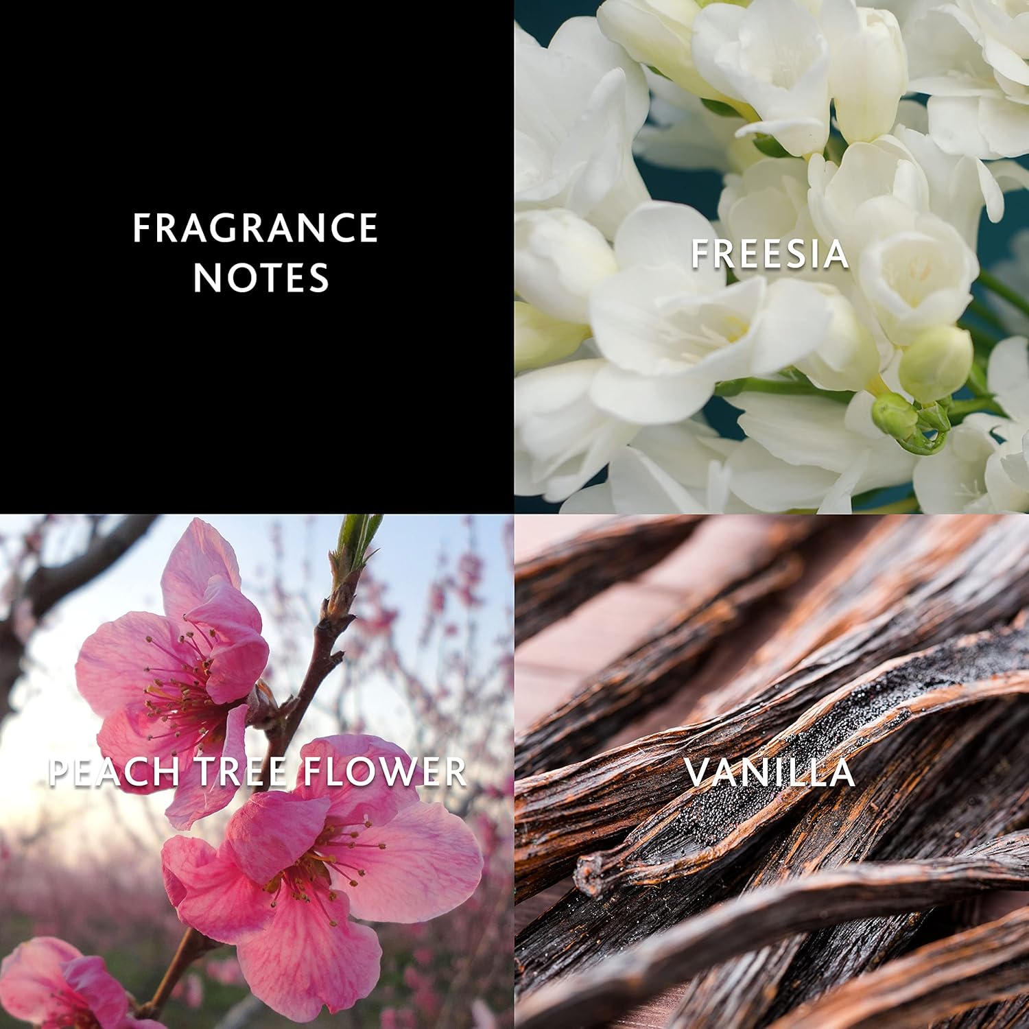 Christina Aguilera By Night, Perfume for Women, Eau de Parfum Spray, 1.0 fl. oz. - Image 5