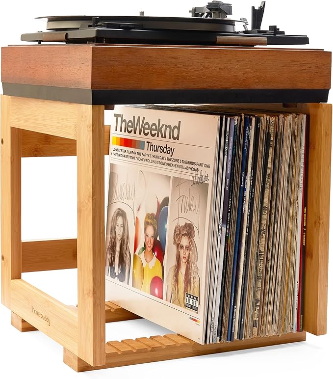 HomeBuddy Vinyl Record Storage Vinyl Record Holder for