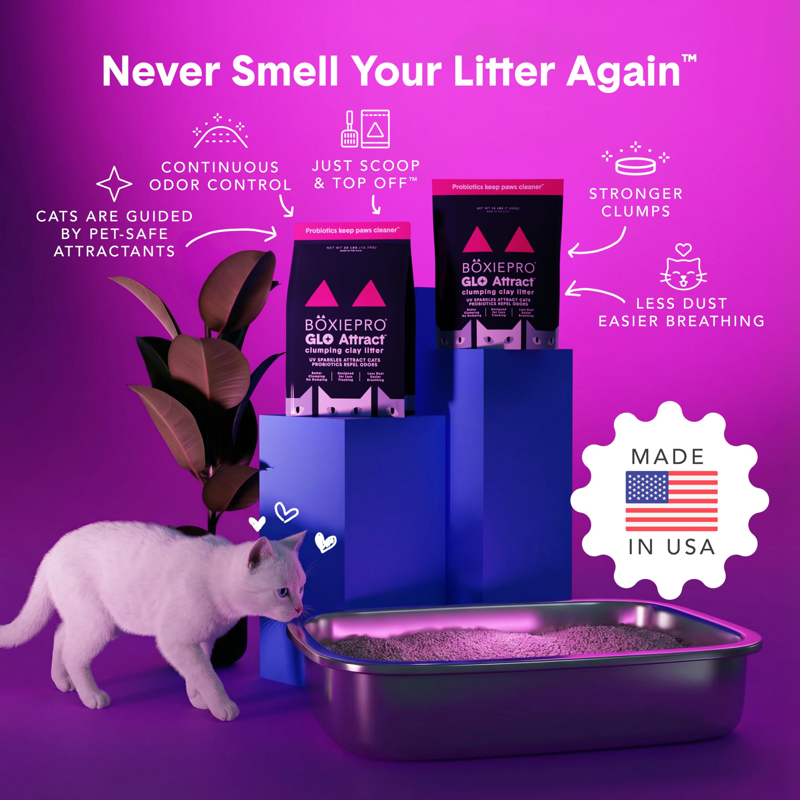 Boxie® GLO™ - Arena para Gatos de Arcilla aglutinante para 30 días, 40 Libras, Multi-Gato, 99.9% Libre de Polvo, bajo Seguimiento, atrayente de luz UV, aglutinante Superior para una fácil Recogida