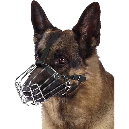 wire dog muzzle