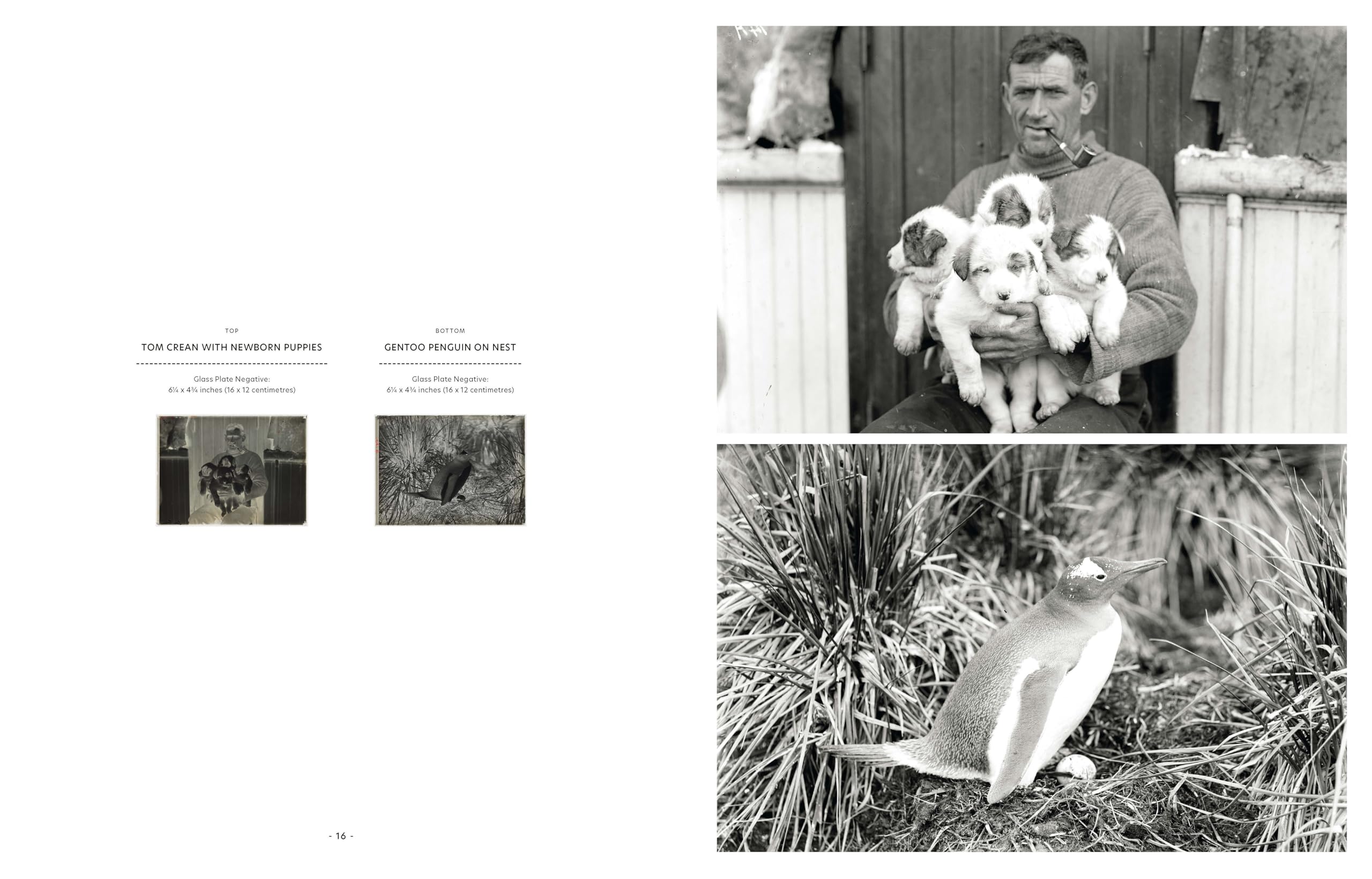 The Endurance Photographs: A Definitive Visual Record of Shackleton's Expedition