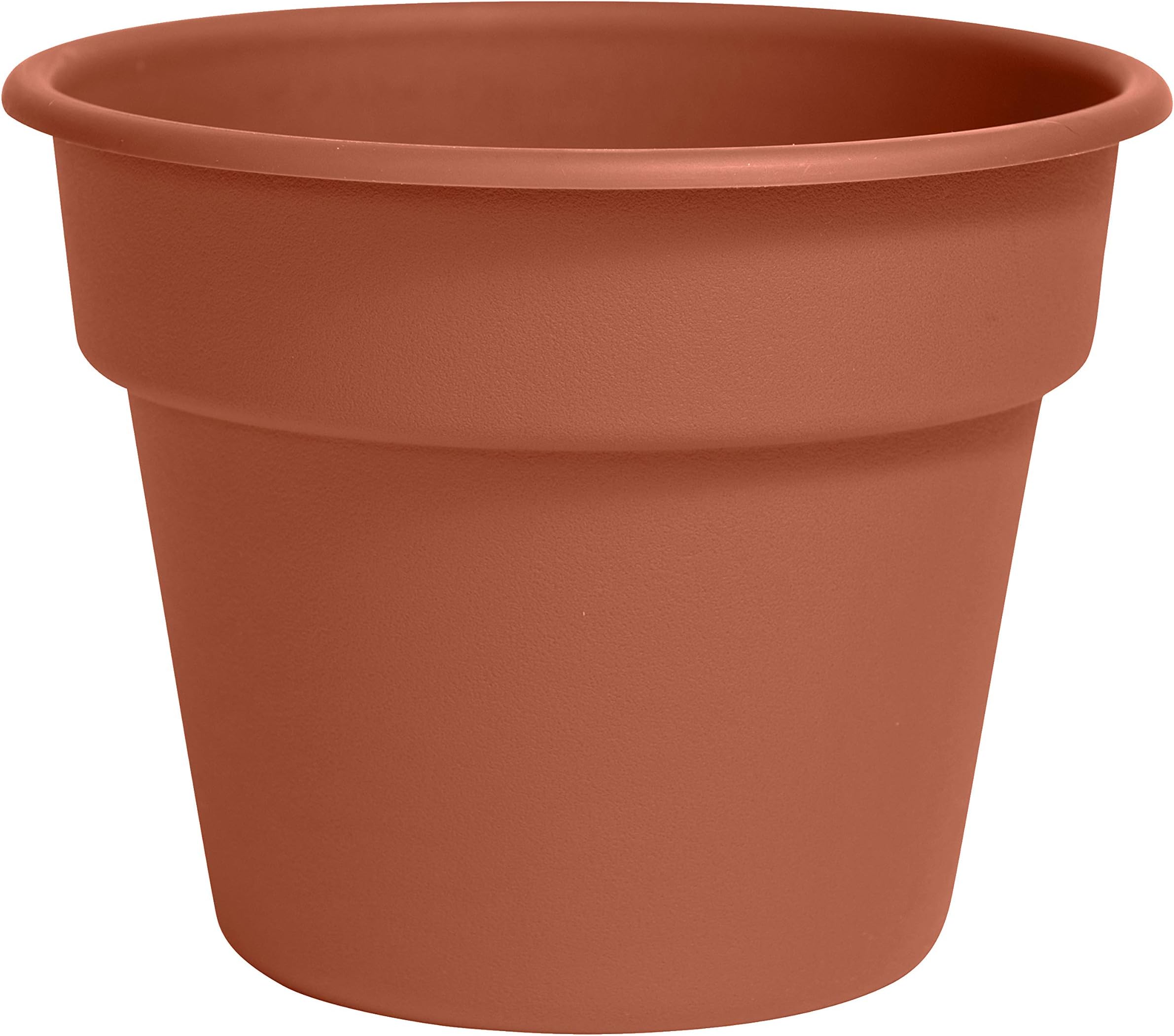 Bloem Dura Cotta Planter (DC8-46), Terra Cotta, 8"