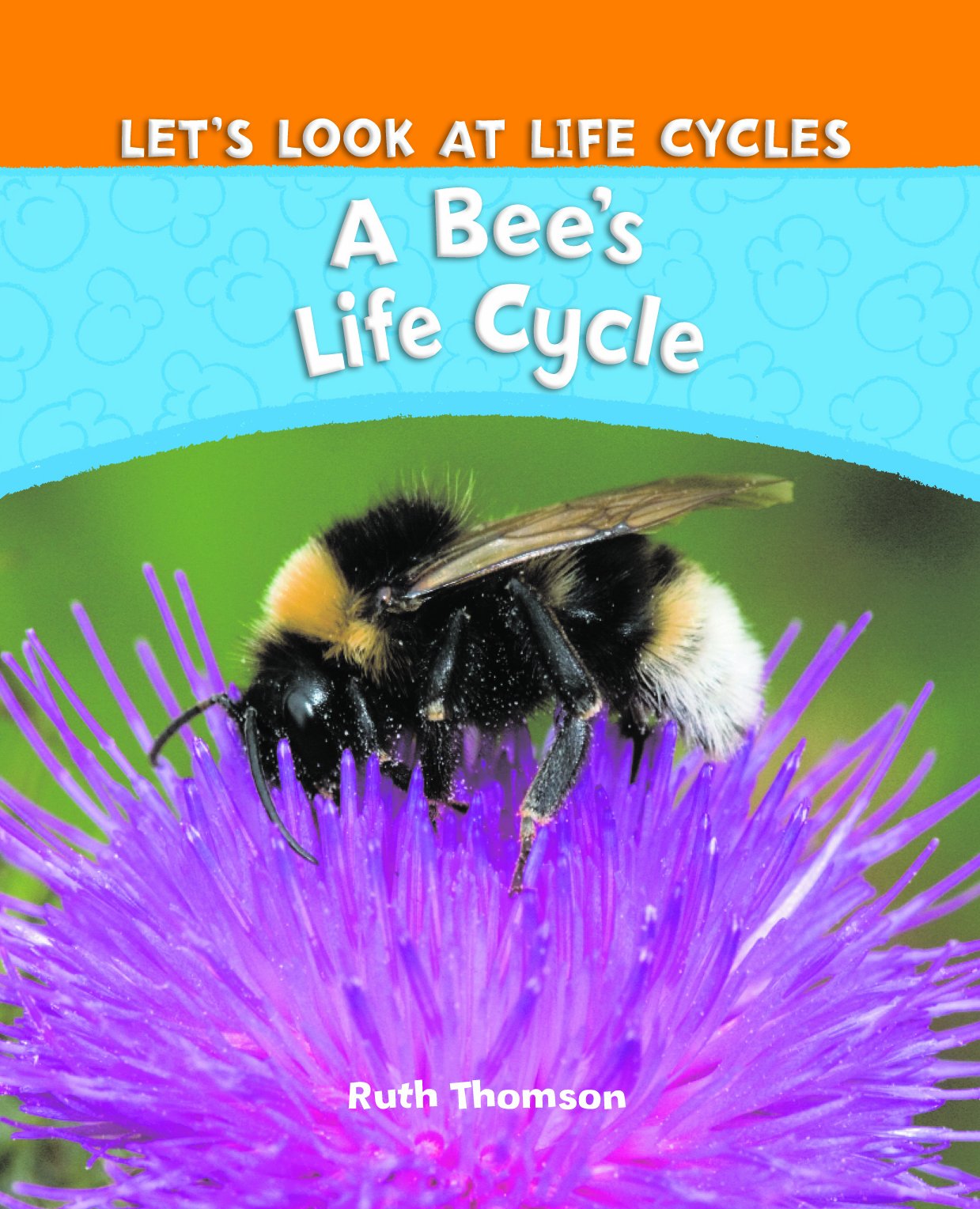 A Bee's Life Cycle