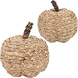 winemana 2 Pack Pumpkin Fall Decor Thanksgiving Decorative Pumpkins for Home Woven Cattail Figurines Farmhouse Autumn Decorations Fall Centerpieces for Table Porch Mantel Indoor (Beige)