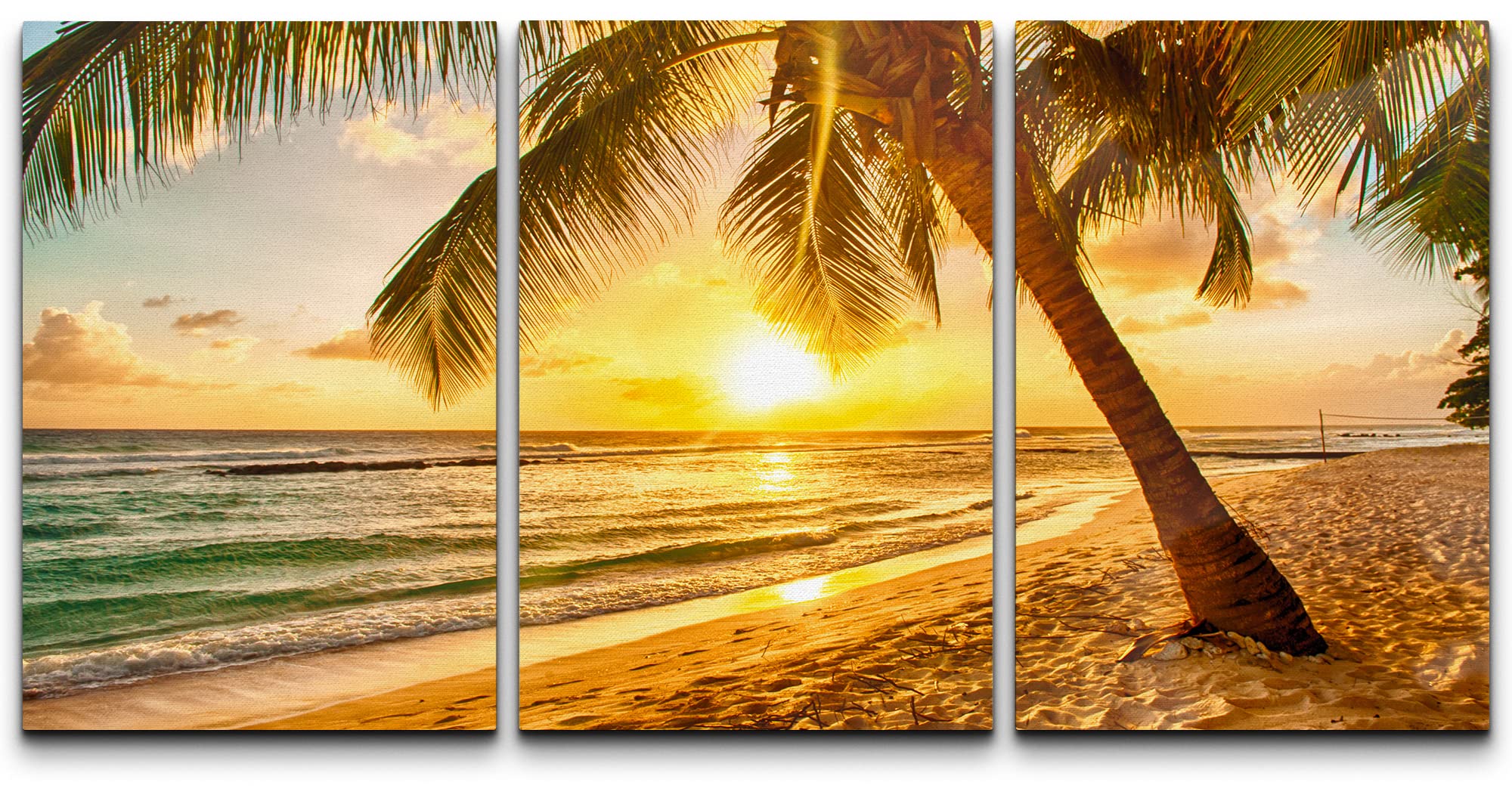 ウォール26 wall26 キャンバスアート 3点セット Tropical