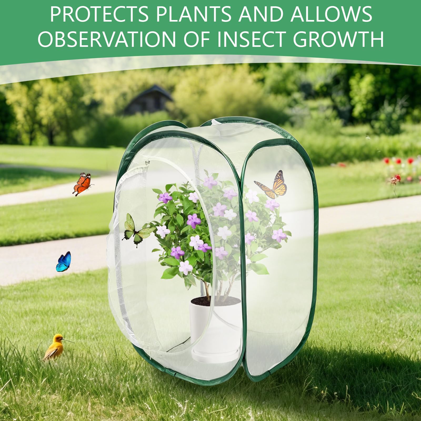 Gabbia per Insetti e Farfalle,Gabbia per Habitat Farfalla, 40×40×60 cm, Terrari Pieghevole in Rete per Piante, Insetti(Verde) - 5
