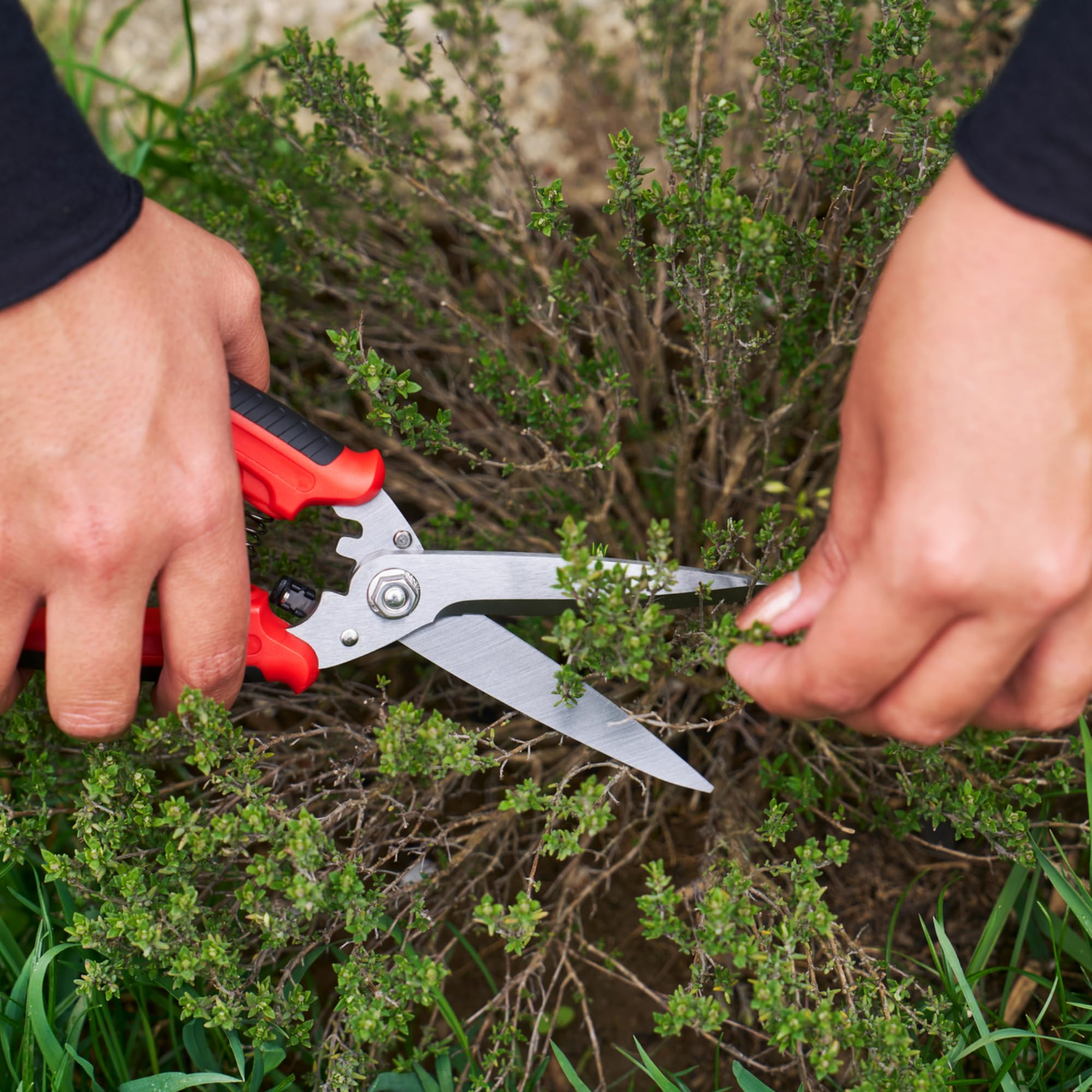 FELCO 456 Forbici Multiuso, Lame Curve in Acciaio Inossidabile, Lama Seghettata per Presa Sicura, Strumento da Taglio Multiuso per Giardino e Casa, Forbici di Precisione Premium