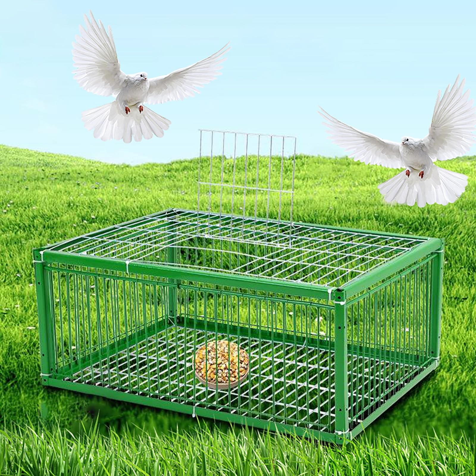 Amazon.co.jp: NOBBAT 鳩捕獲器ケージ 鳥捕獲器 鳩捕り籠 天窓の