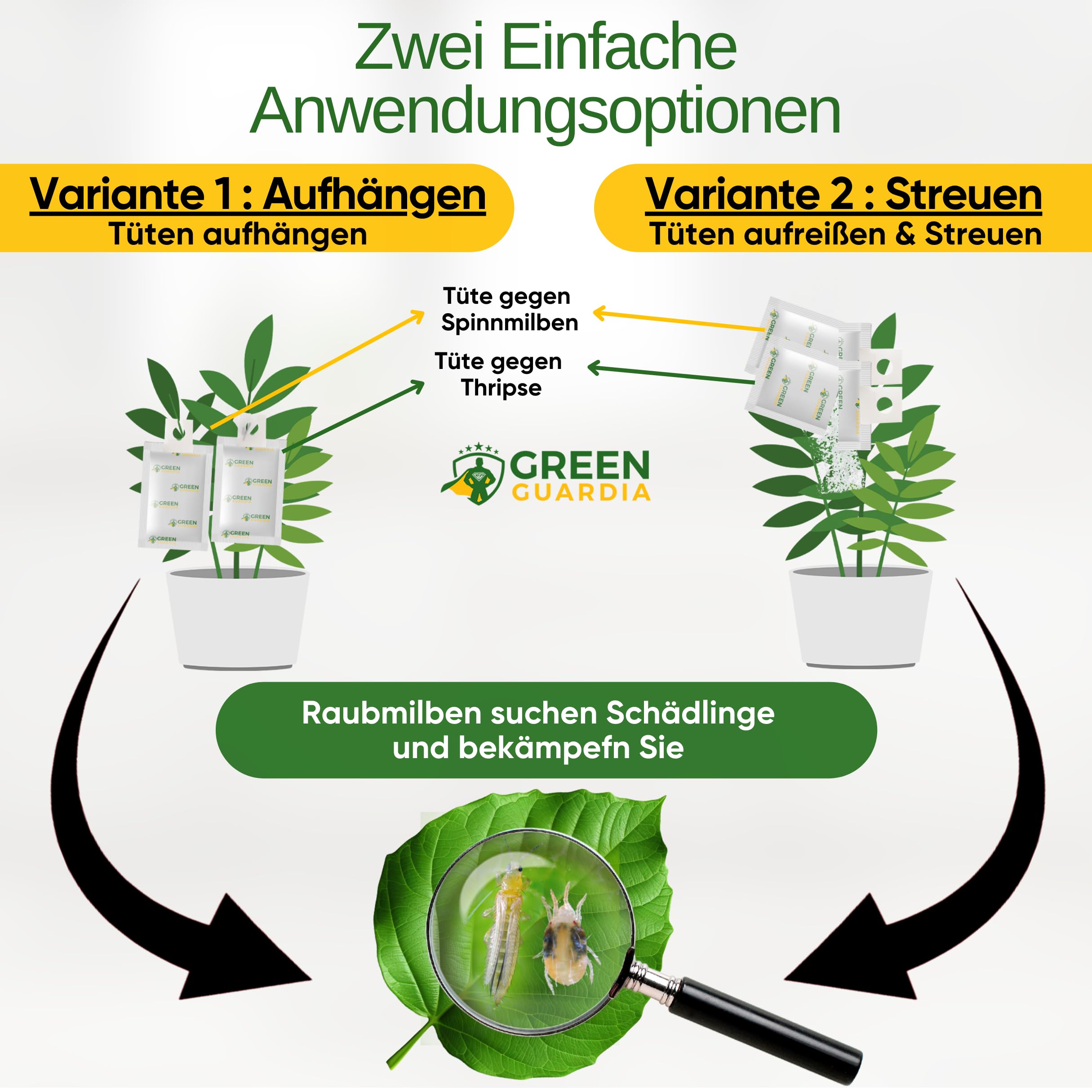 GREEN GUARDIA Power Mix di acari predatori contro tripidi e acari di ragno, 3 mix a 6 sacchetti, agente biologico per combattere efficacemente i tripidi, ecologico, senza sostanze chimiche, facile da