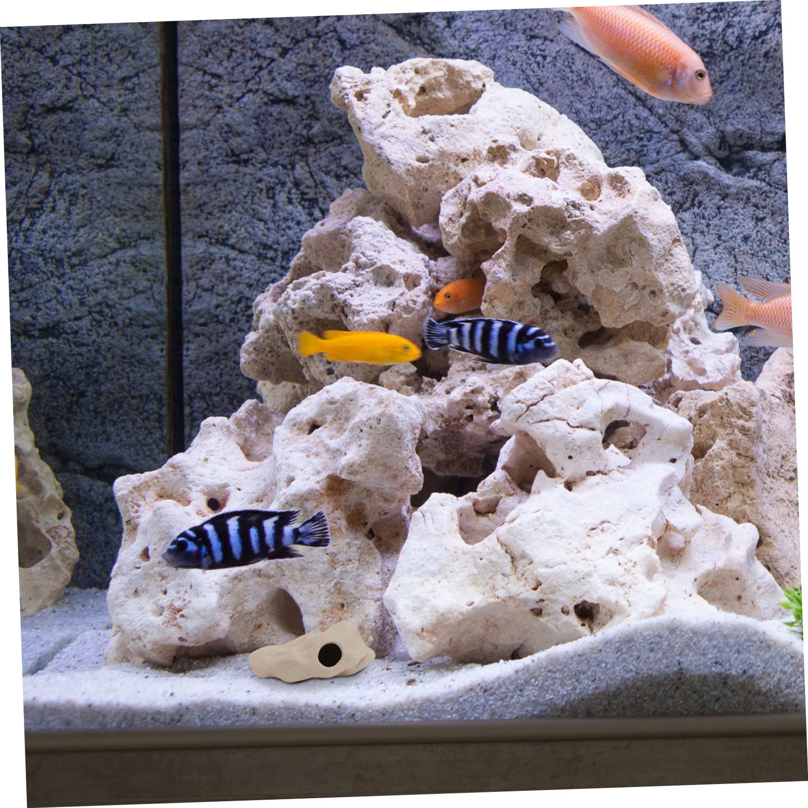BESPORTBLE 9stücke Keramische Garnelenhöhlen Für Aquarien Dekorative Landschaftselemente Für Fischtanks Verstecke Und Laichnester Und Langlebig