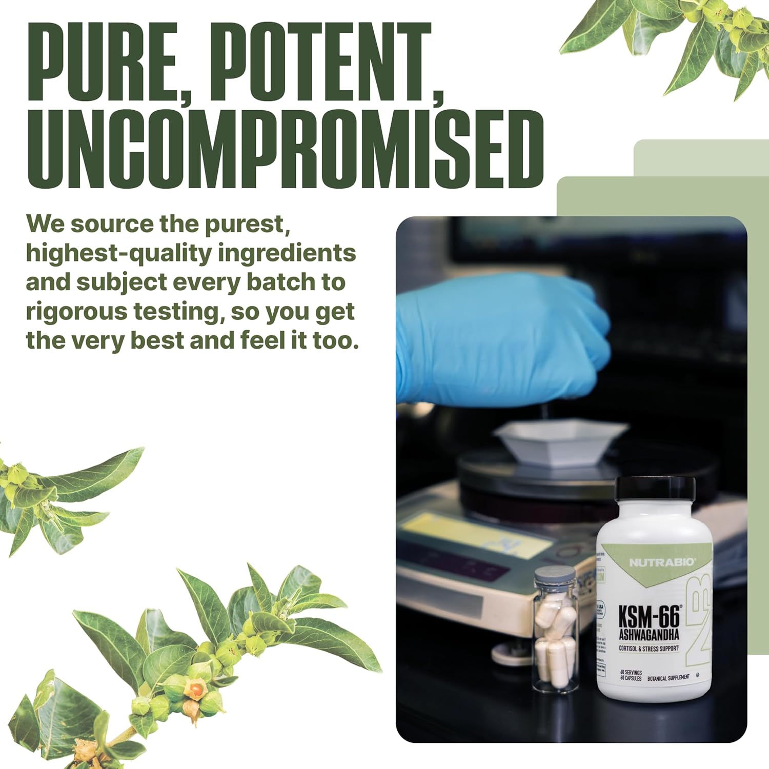 NutraBio Ashwagandha KSM-66 | Ashwagandha Herbal Supplement for Stress, Mood, & Performance | 600 MG of Clinically Studied KSM66 60 Capsules - Image 8