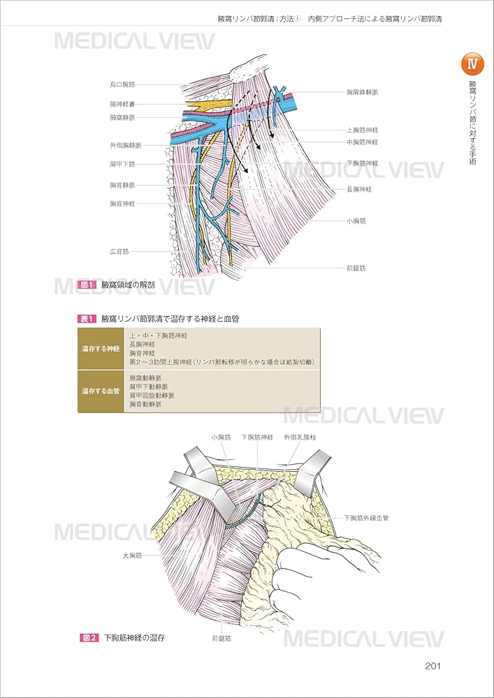 エキスパートが伝える スタンダード乳癌手術 | 増田 慎三, 井口 雅史 エキスパートが伝える スタンダード乳癌手術 | 増田 慎三, 井口 雅史