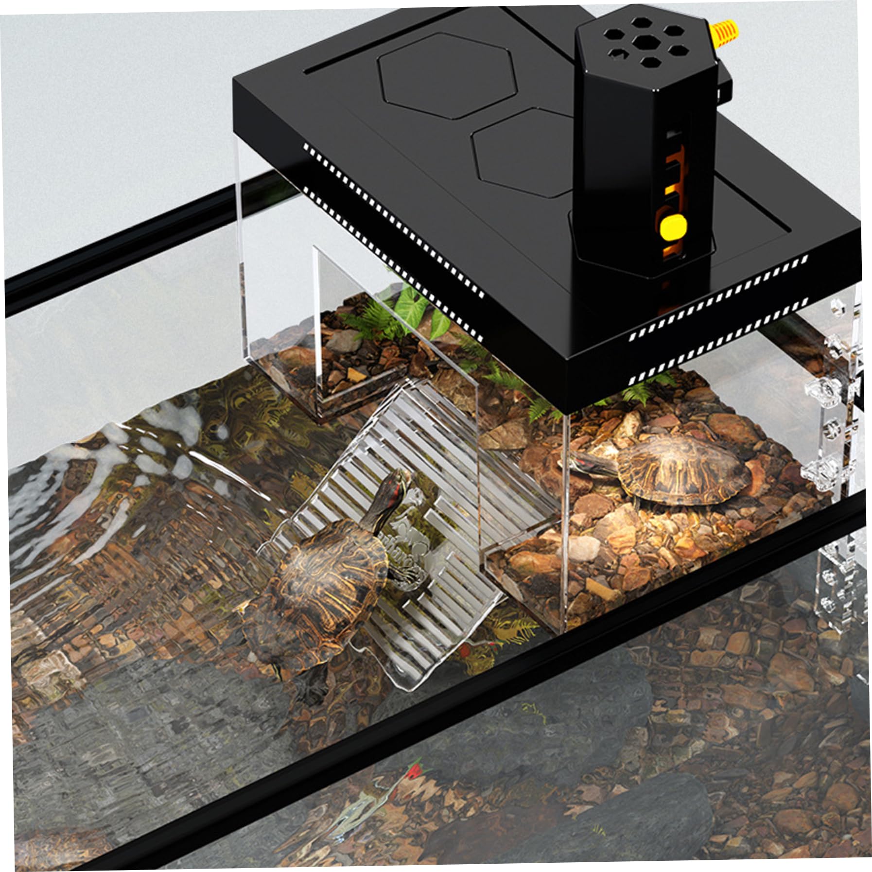 sobre el Tanque para Tortugas con Tapa extraíble, Altura Ajustable, diseño antiescape para Tortugas acuáticas, Adorno Transparente para Tanque de Reptiles